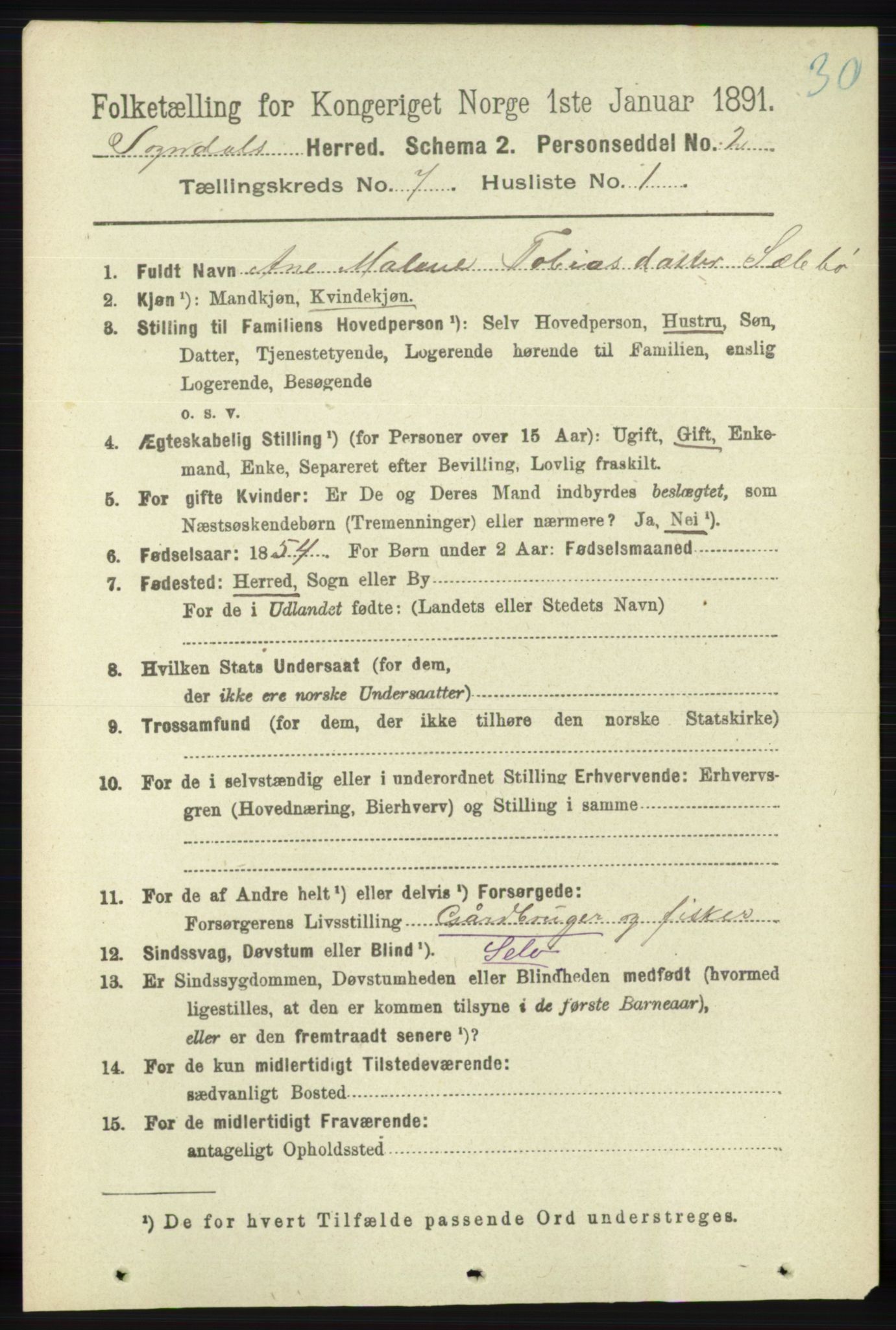 RA, 1891 census for 1111 Sokndal, 1891, p. 2105