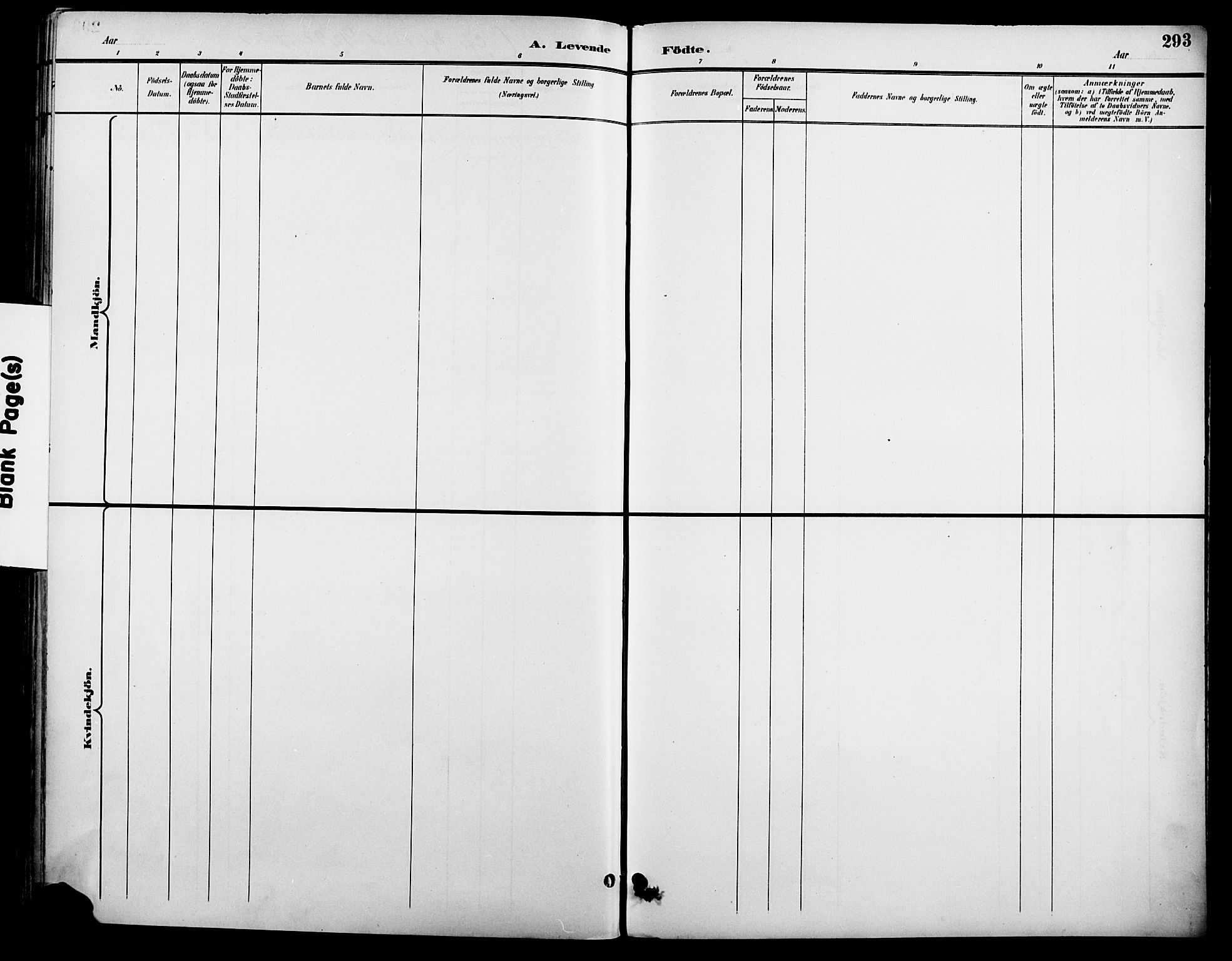 Johannes prestekontor Kirkebøker, AV/SAO-A-10852/F/Fa/L0007: Parish register (official) no. 7, 1896-1905, p. 293