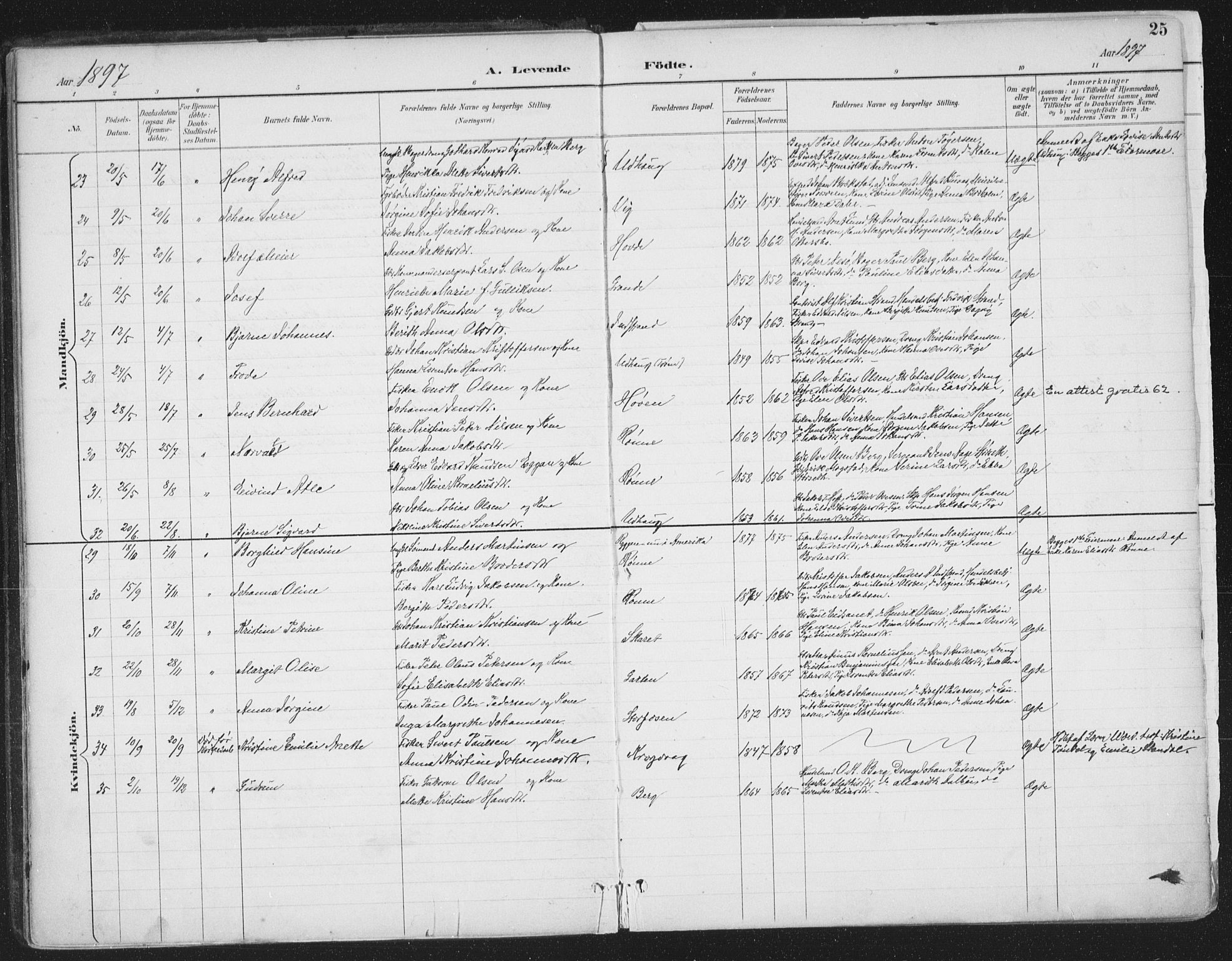 Ministerialprotokoller, klokkerbøker og fødselsregistre - Sør-Trøndelag, AV/SAT-A-1456/659/L0743: Parish register (official) no. 659A13, 1893-1910, p. 25