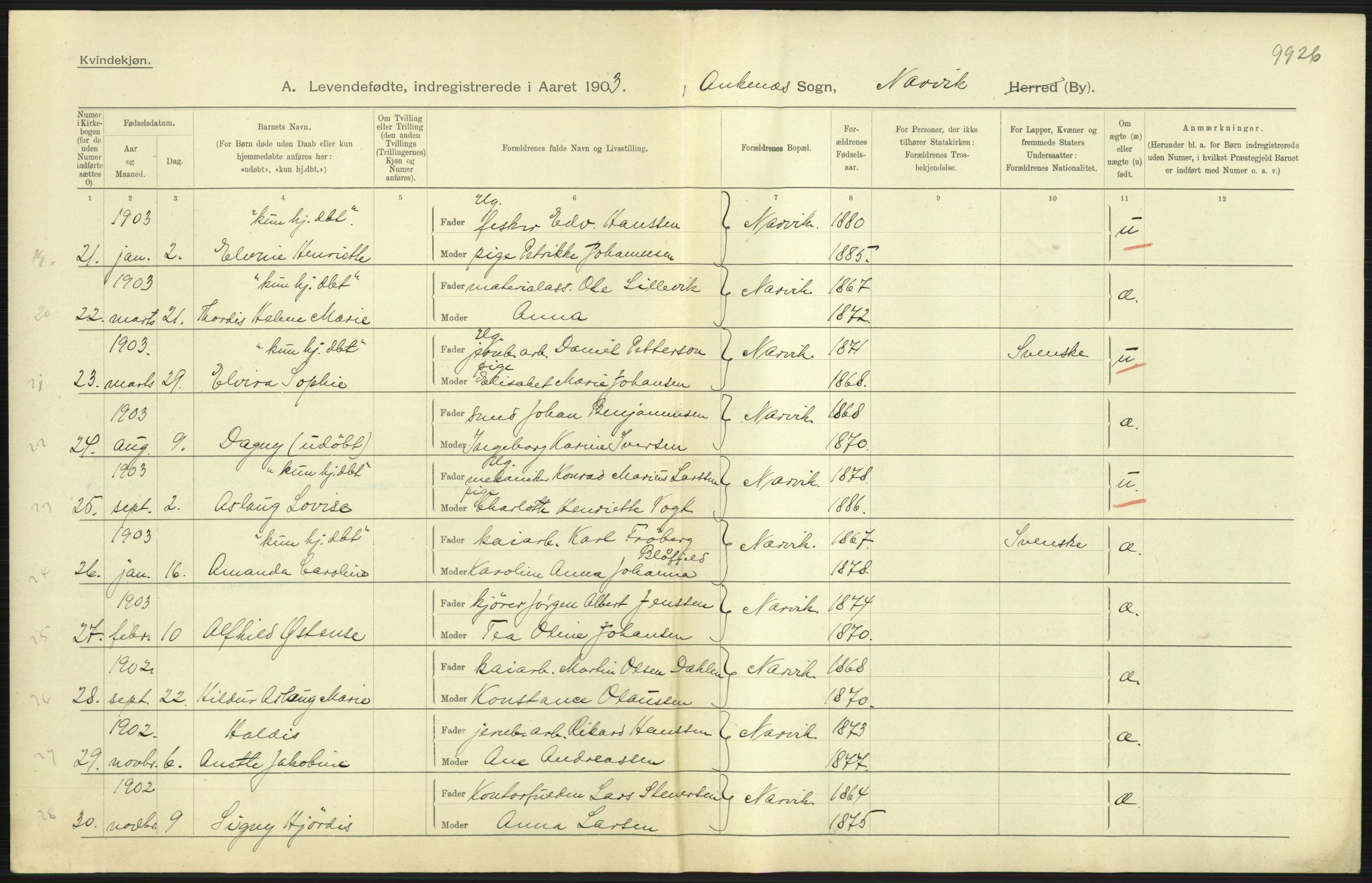 Statistisk sentralbyrå, Sosiodemografiske emner, Befolkning, AV/RA-S-2228/D/Df/Dfa/Dfaa/L0019: Nordlands amt: Fødte, gifte, døde., 1903, p. 29