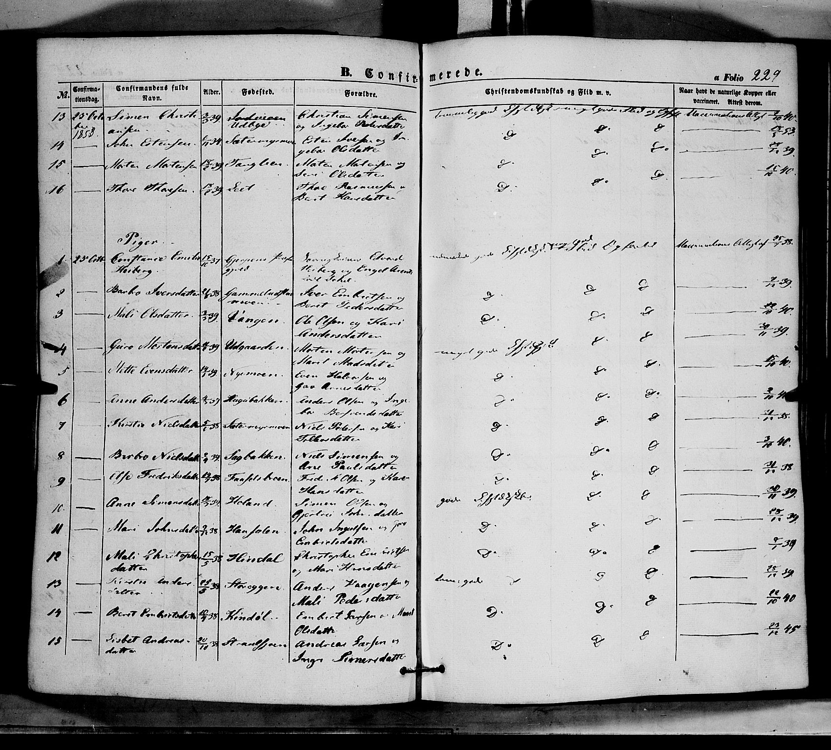 Tynset prestekontor, AV/SAH-PREST-058/H/Ha/Haa/L0020: Parish register (official) no. 20, 1848-1862, p. 229