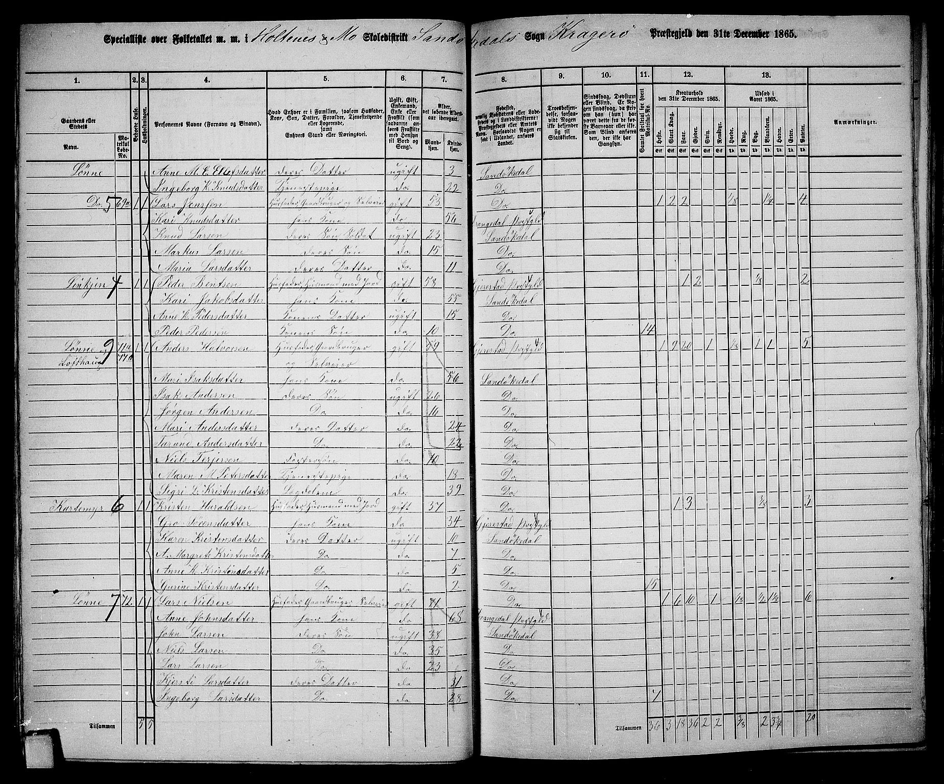 RA, 1865 census for Kragerø/Sannidal og Skåtøy, 1865, p. 41