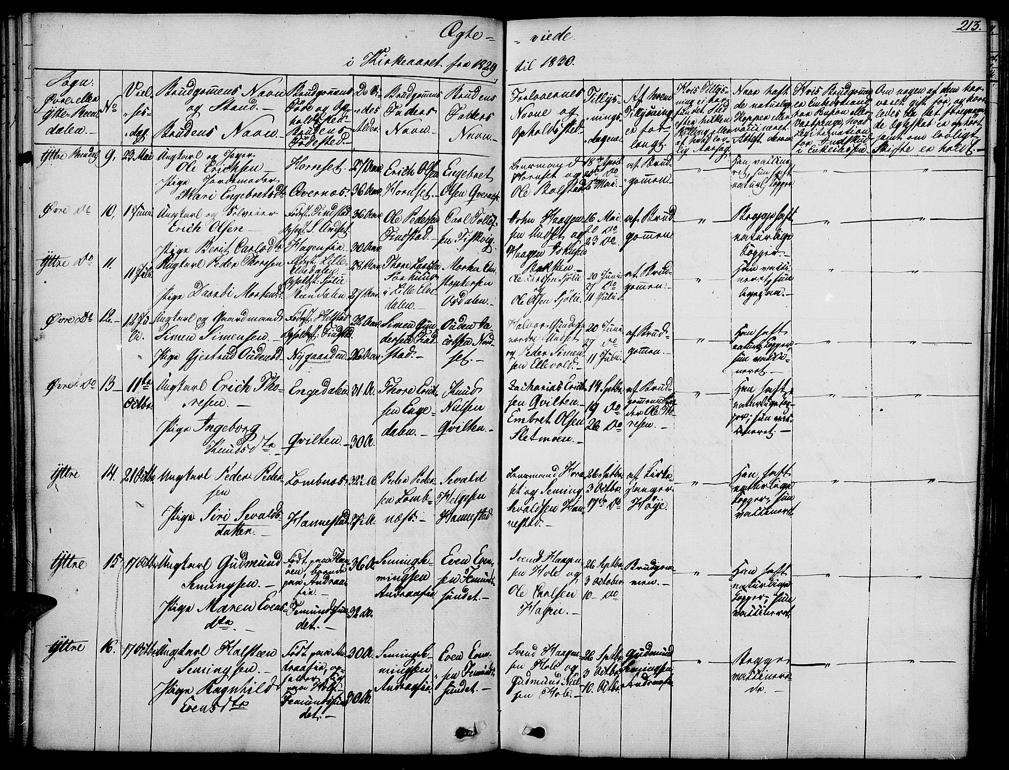 Rendalen prestekontor, AV/SAH-PREST-054/H/Ha/Haa/L0004: Parish register (official) no. 4, 1829-1852, p. 213