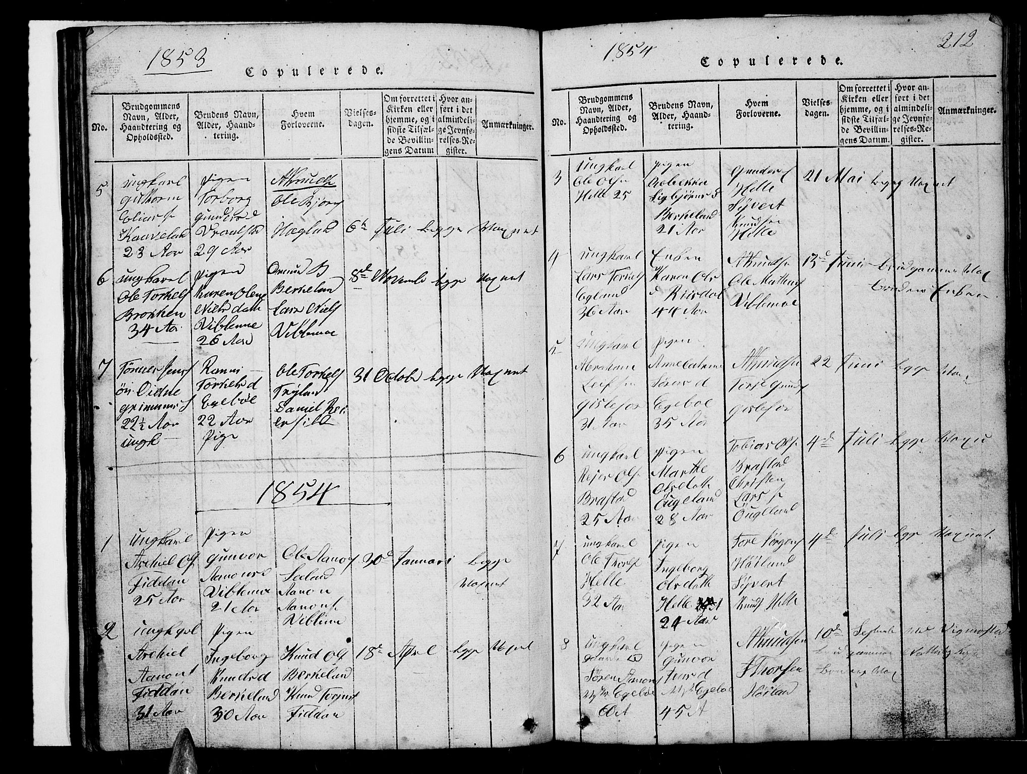 Nord-Audnedal sokneprestkontor, AV/SAK-1111-0032/F/Fb/Fba/L0001: Parish register (copy) no. B 1, 1815-1856, p. 212