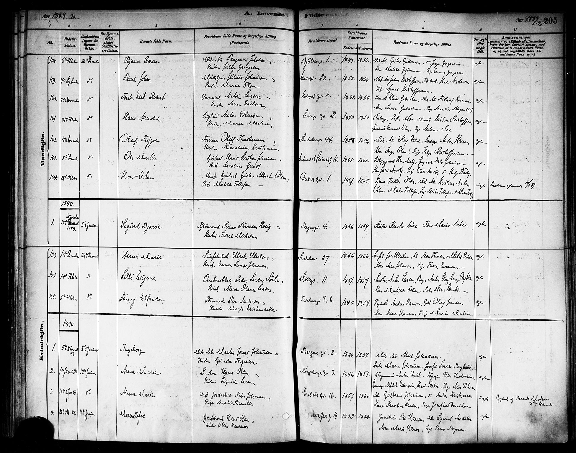 Sagene prestekontor Kirkebøker, SAO/A-10796/F/L0001: Parish register (official) no. 1, 1880-1893, p. 205