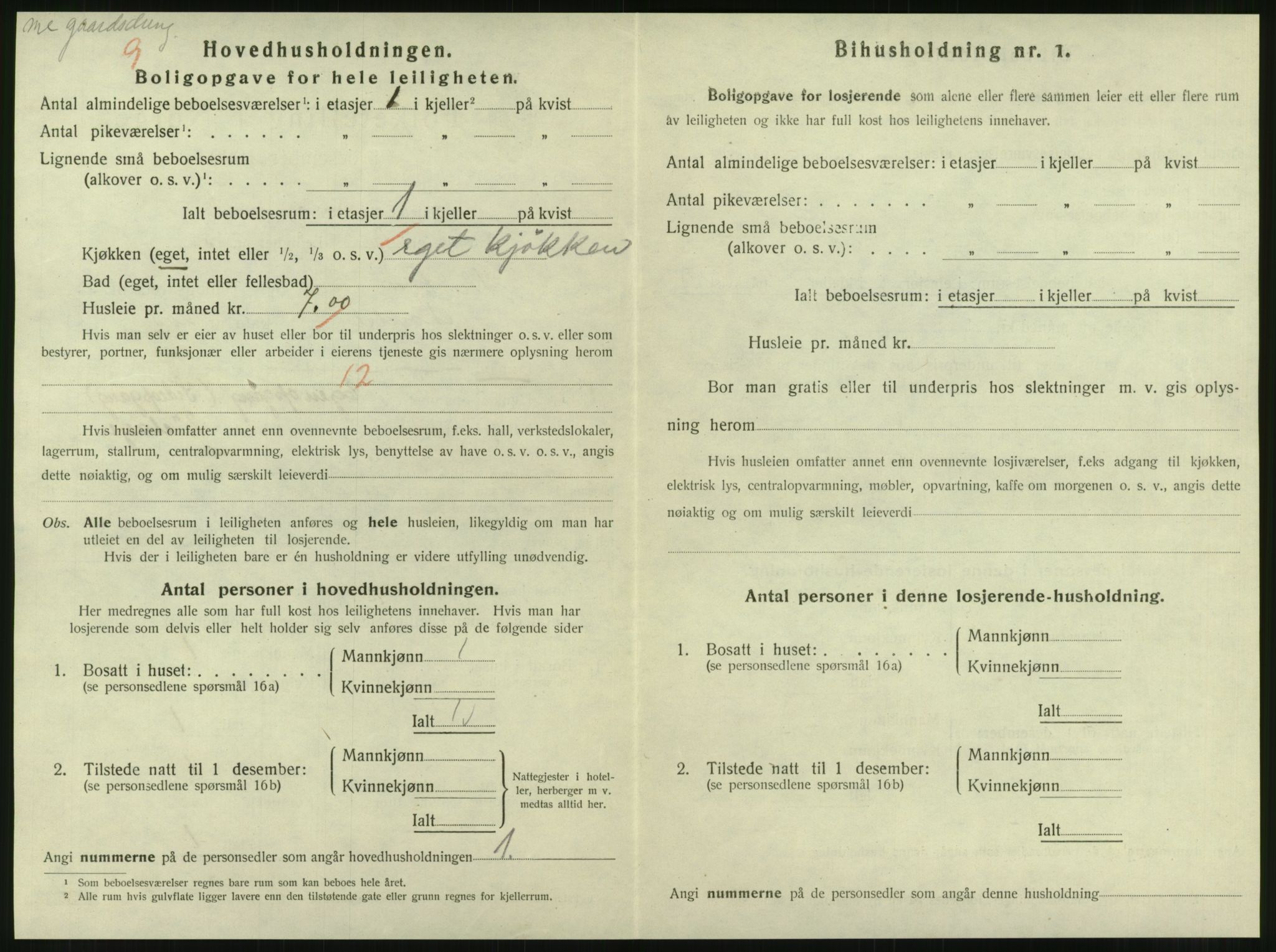 SAT, 1920 census for Steinkjer, 1920, p. 1699