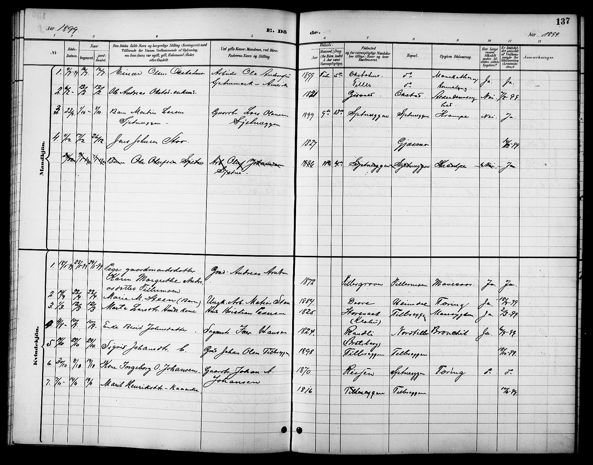 Ministerialprotokoller, klokkerbøker og fødselsregistre - Sør-Trøndelag, SAT/A-1456/621/L0460: Parish register (copy) no. 621C03, 1896-1914, p. 137