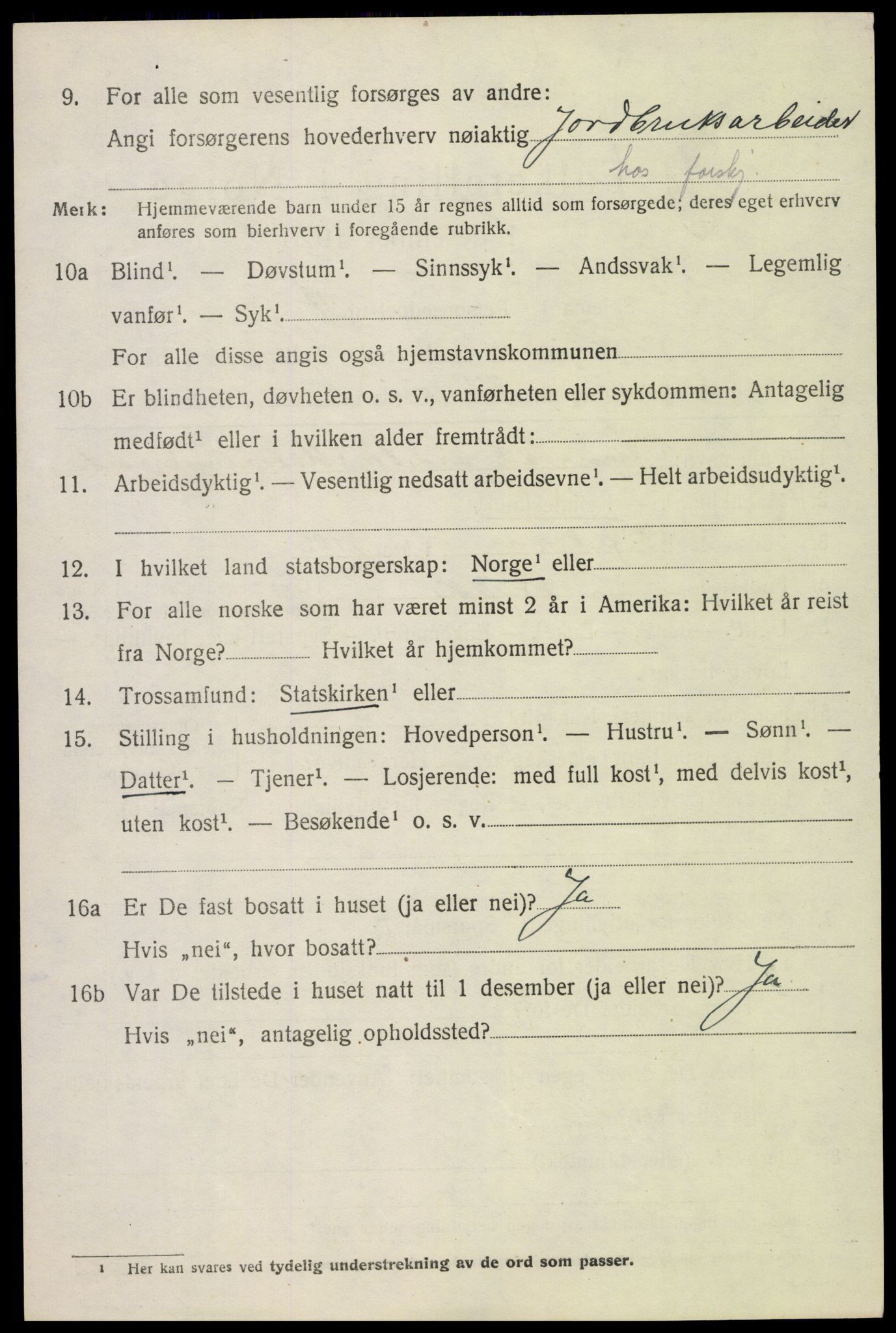 SAH, 1920 census for Skjåk, 1920, p. 2991