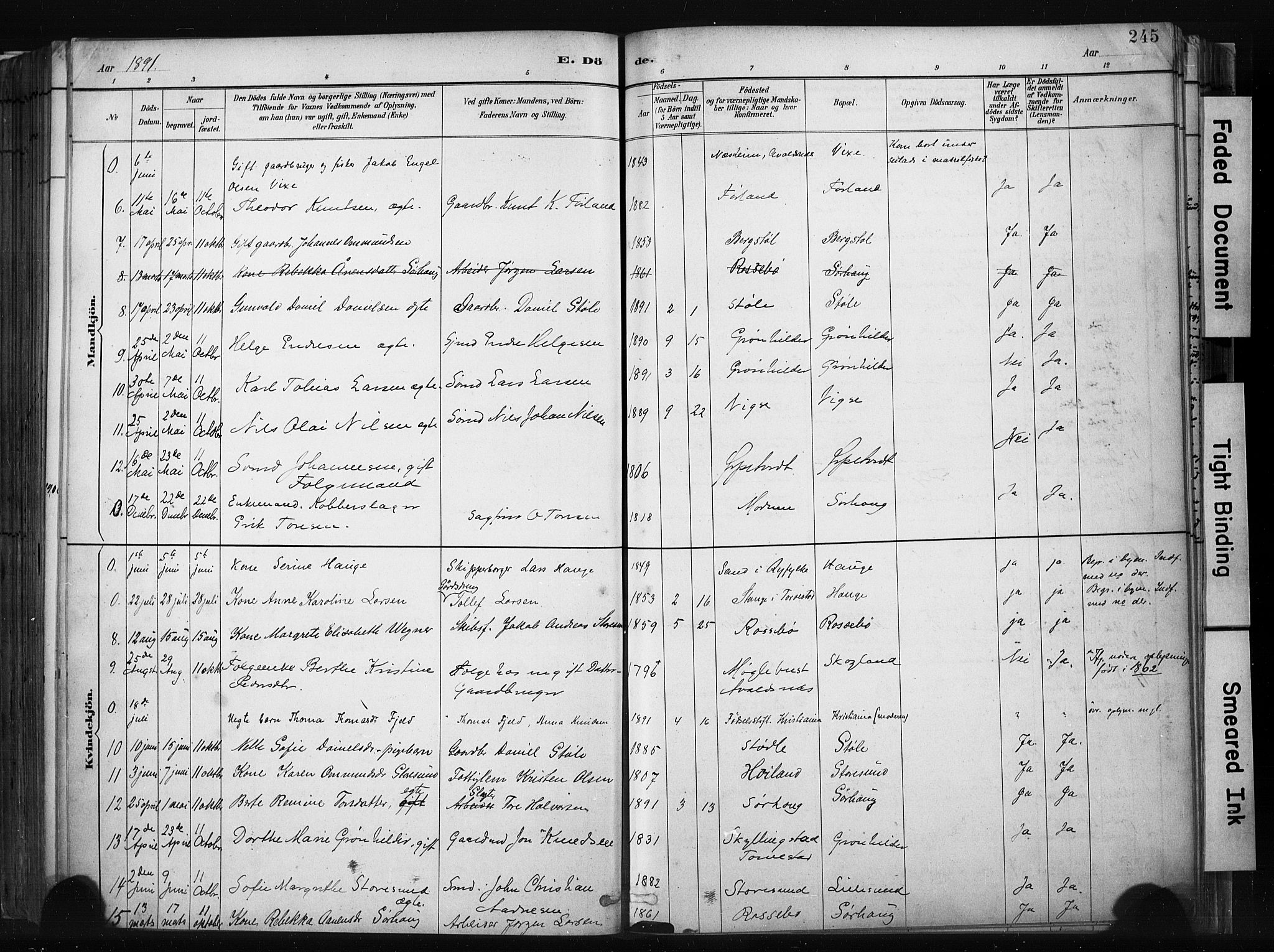 Haugesund sokneprestkontor, SAST/A -101863/H/Ha/Haa/L0004: Parish register (official) no. A 4, 1886-1908, p. 245