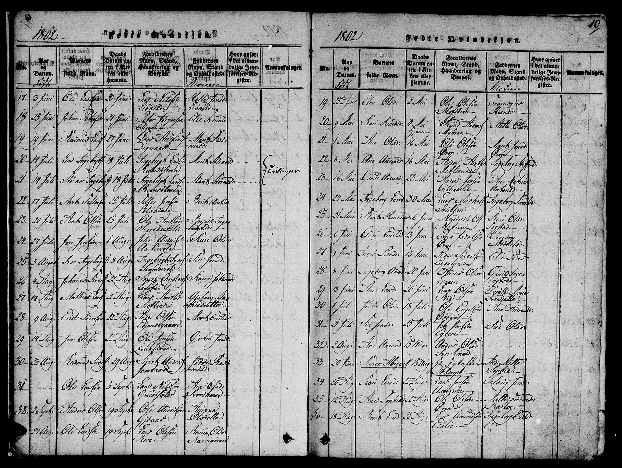 Ministerialprotokoller, klokkerbøker og fødselsregistre - Sør-Trøndelag, AV/SAT-A-1456/668/L0803: Parish register (official) no. 668A03, 1800-1826, p. 10