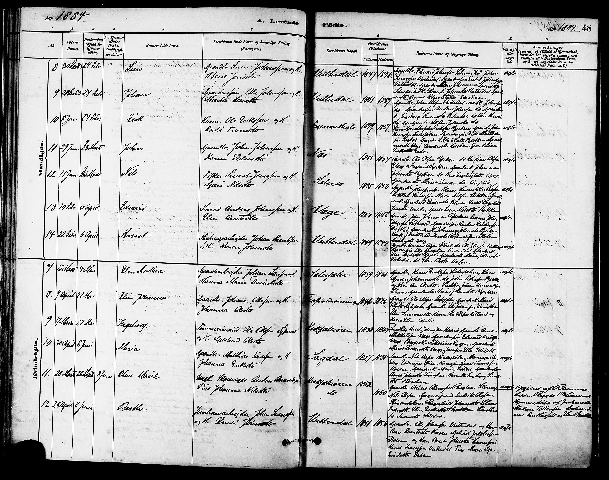 Ministerialprotokoller, klokkerbøker og fødselsregistre - Sør-Trøndelag, SAT/A-1456/630/L0496: Parish register (official) no. 630A09, 1879-1895, p. 48