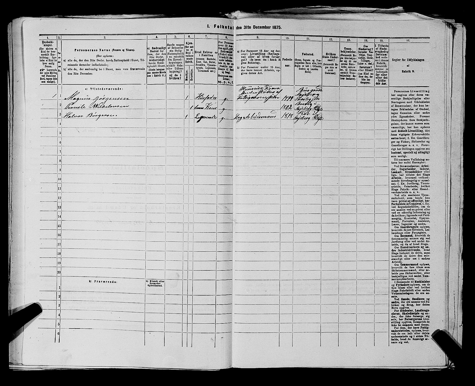 RA, 1875 census for 0111P Hvaler, 1875, p. 562