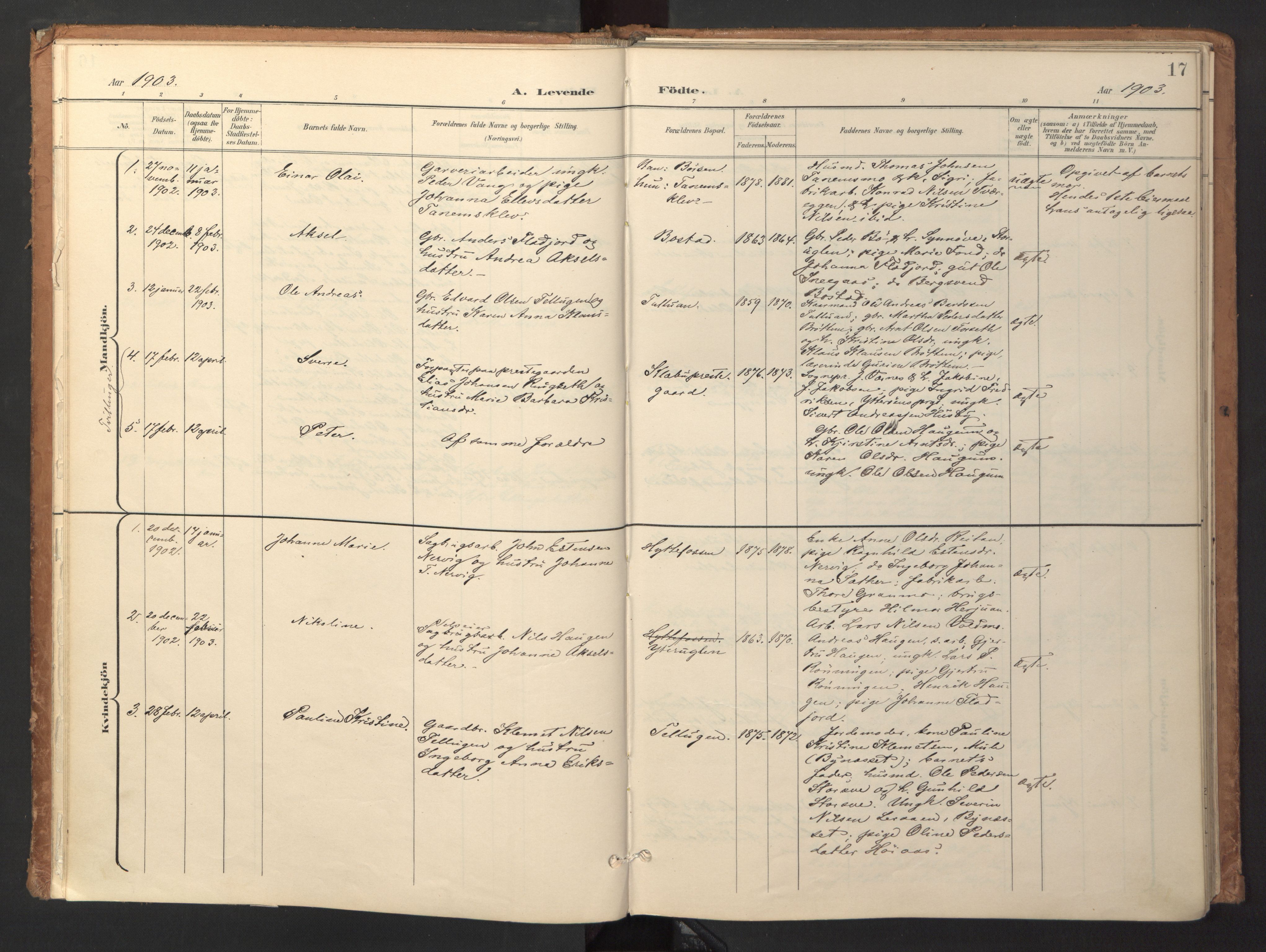 Ministerialprotokoller, klokkerbøker og fødselsregistre - Sør-Trøndelag, AV/SAT-A-1456/618/L0448: Parish register (official) no. 618A11, 1898-1916, p. 17