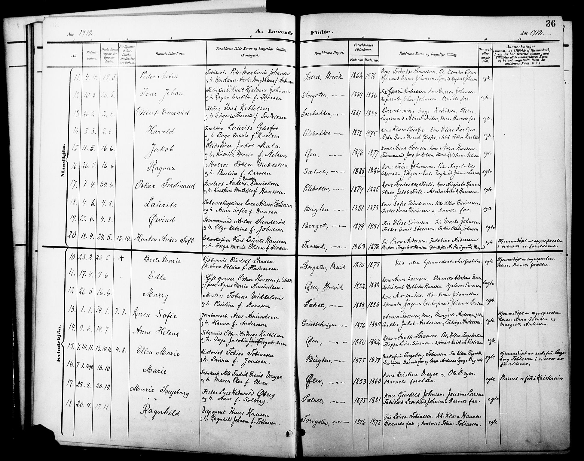 Brevik kirkebøker, SAKO/A-255/G/Ga/L0005: Parish register (copy) no. 5, 1901-1924, p. 36