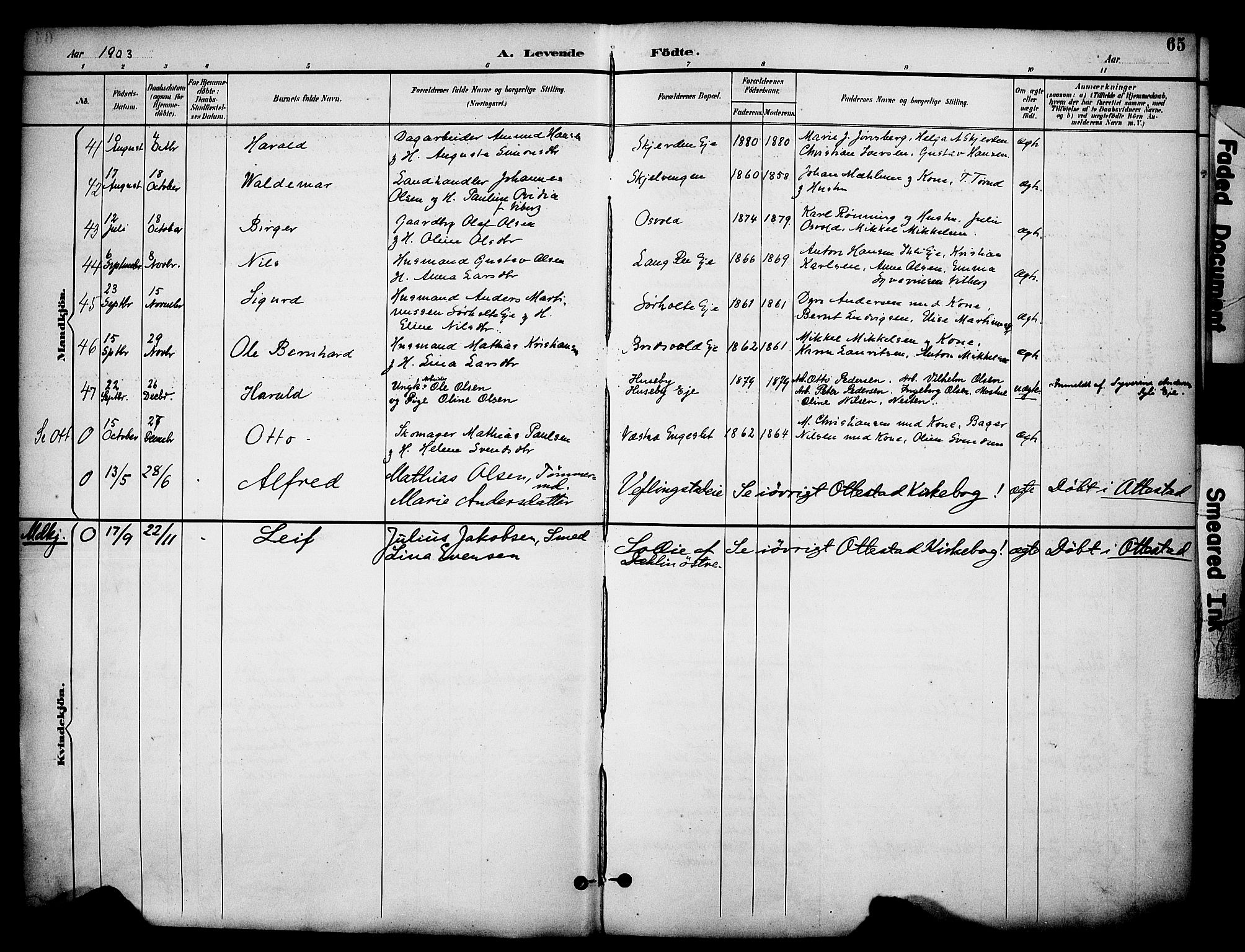 Stange prestekontor, AV/SAH-PREST-002/K/L0020: Parish register (official) no. 20, 1894-1905, p. 65