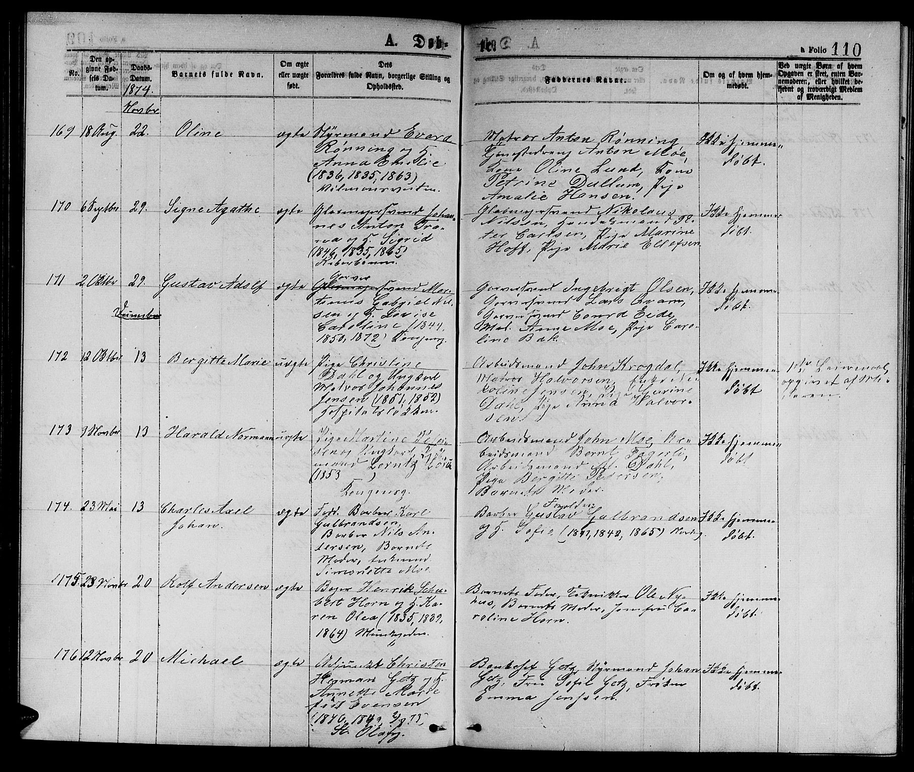 Ministerialprotokoller, klokkerbøker og fødselsregistre - Sør-Trøndelag, AV/SAT-A-1456/601/L0088: Parish register (copy) no. 601C06, 1870-1878, p. 110