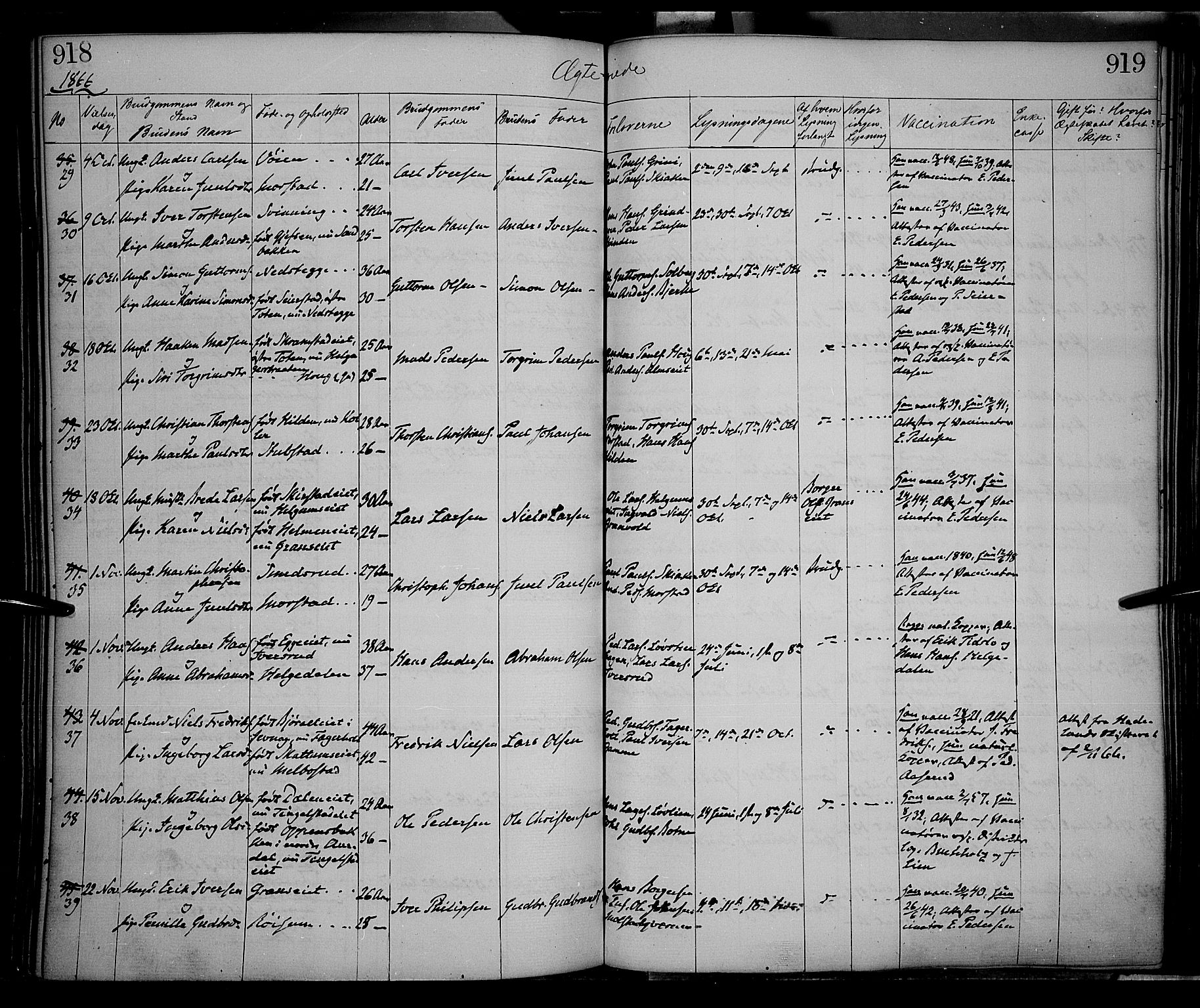 Gran prestekontor, SAH/PREST-112/H/Ha/Haa/L0012: Parish register (official) no. 12, 1856-1874, p. 918-919