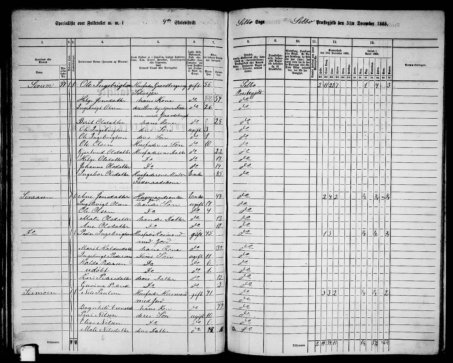 RA, 1865 census for Selbu, 1865, p. 49