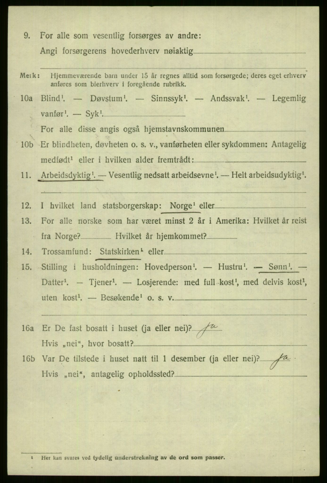 SAB, 1920 census for Voss, 1920, p. 3972