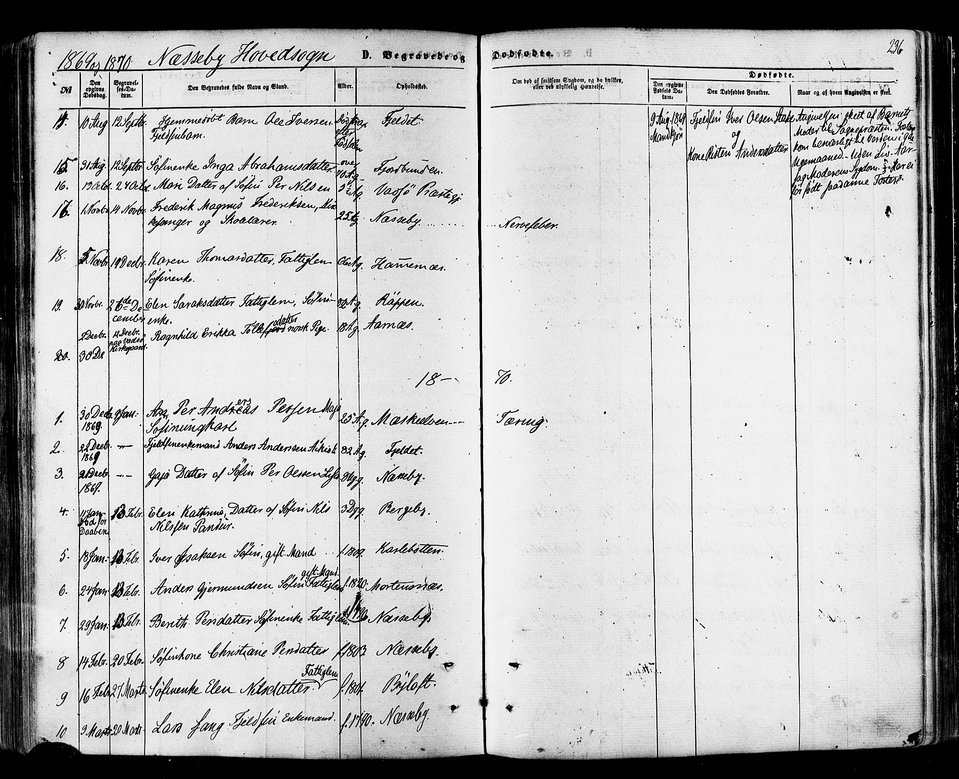 Nesseby sokneprestkontor, SATØ/S-1330/H/Ha/L0003kirke: Parish register (official) no. 3 /1, 1865-1876, p. 236