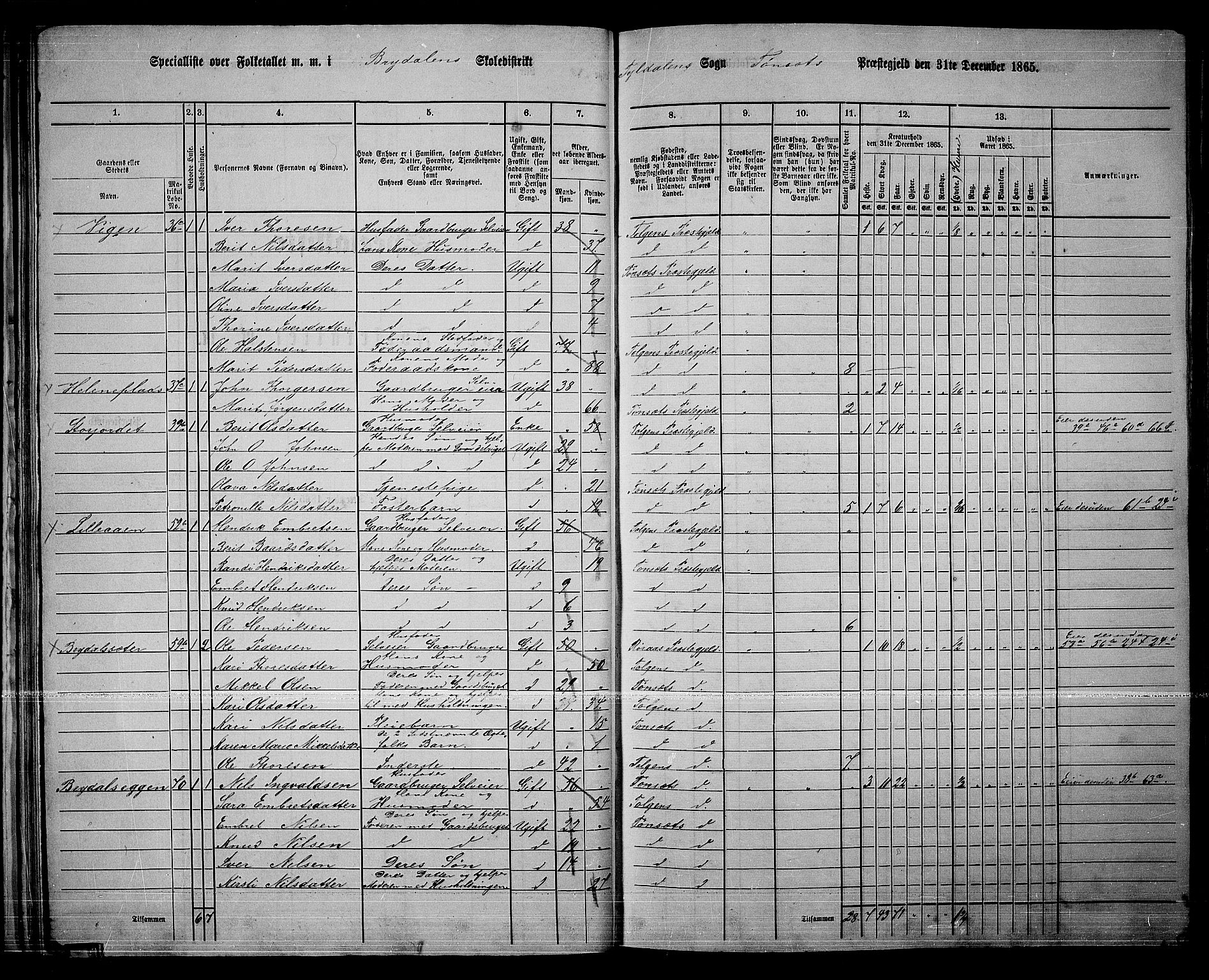 RA, 1865 census for Tynset, 1865, p. 38