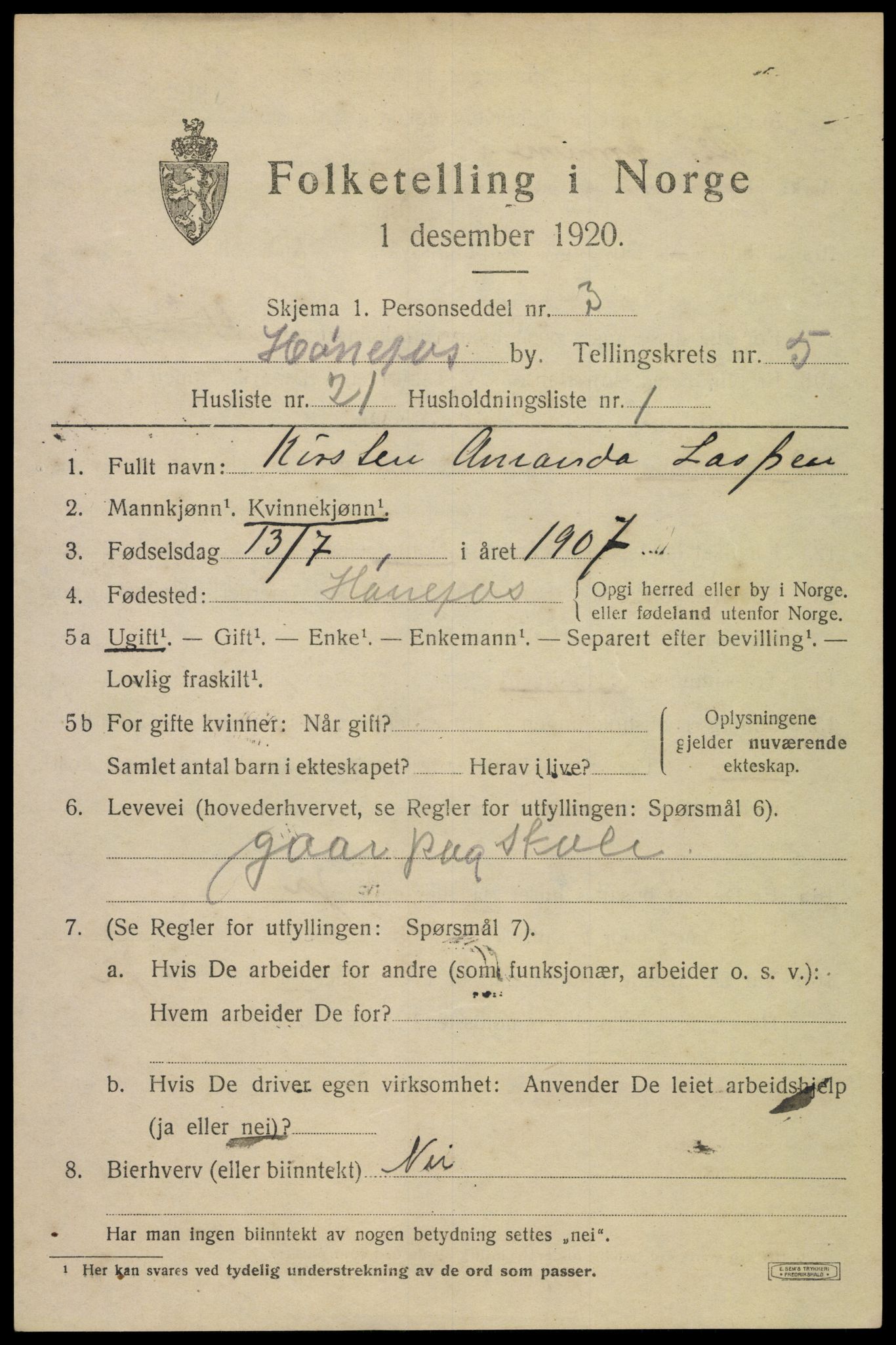 SAKO, 1920 census for Hønefoss, 1920, p. 6960