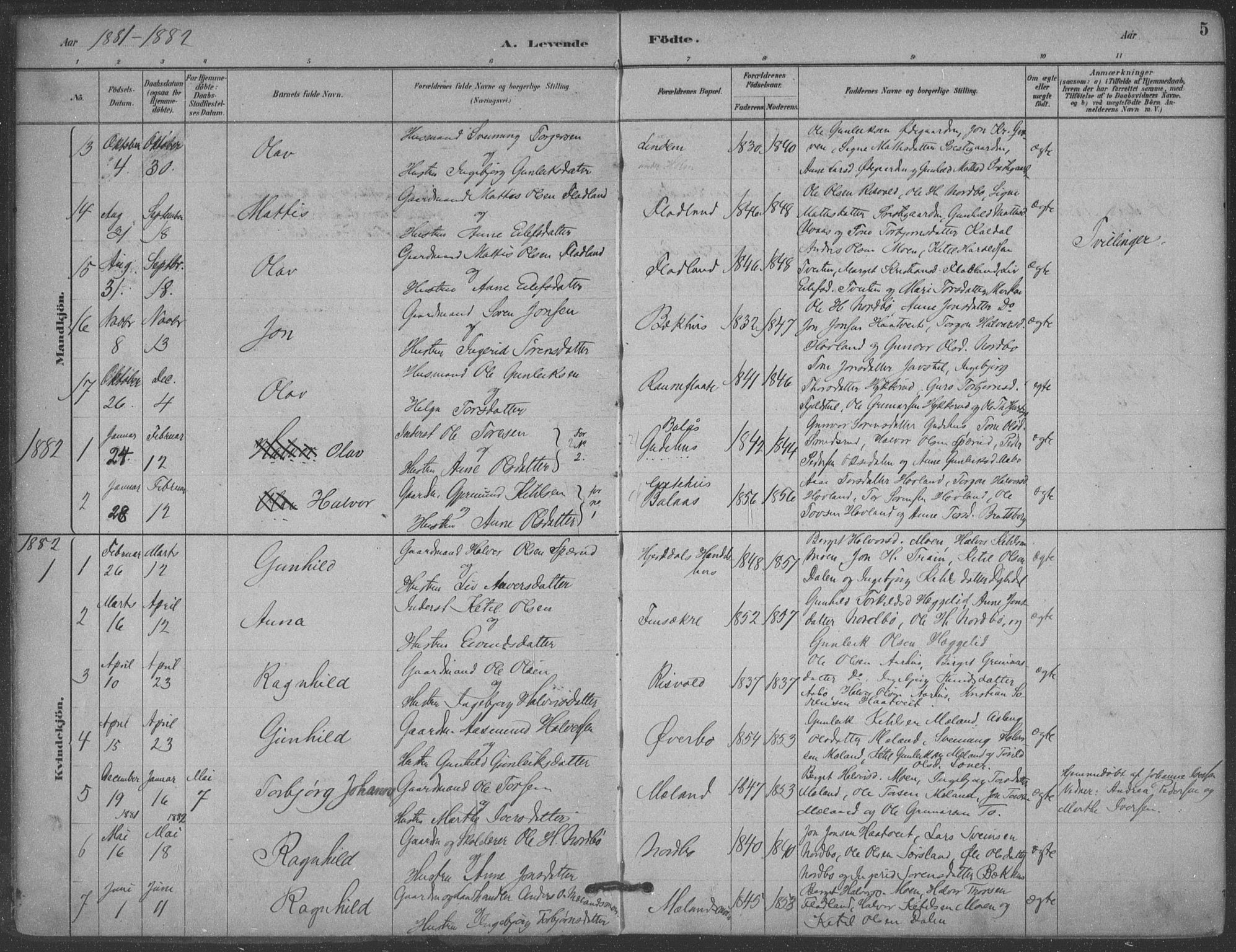 Hjartdal kirkebøker, AV/SAKO-A-270/F/Fa/L0010: Parish register (official) no. I 10, 1880-1929, p. 5