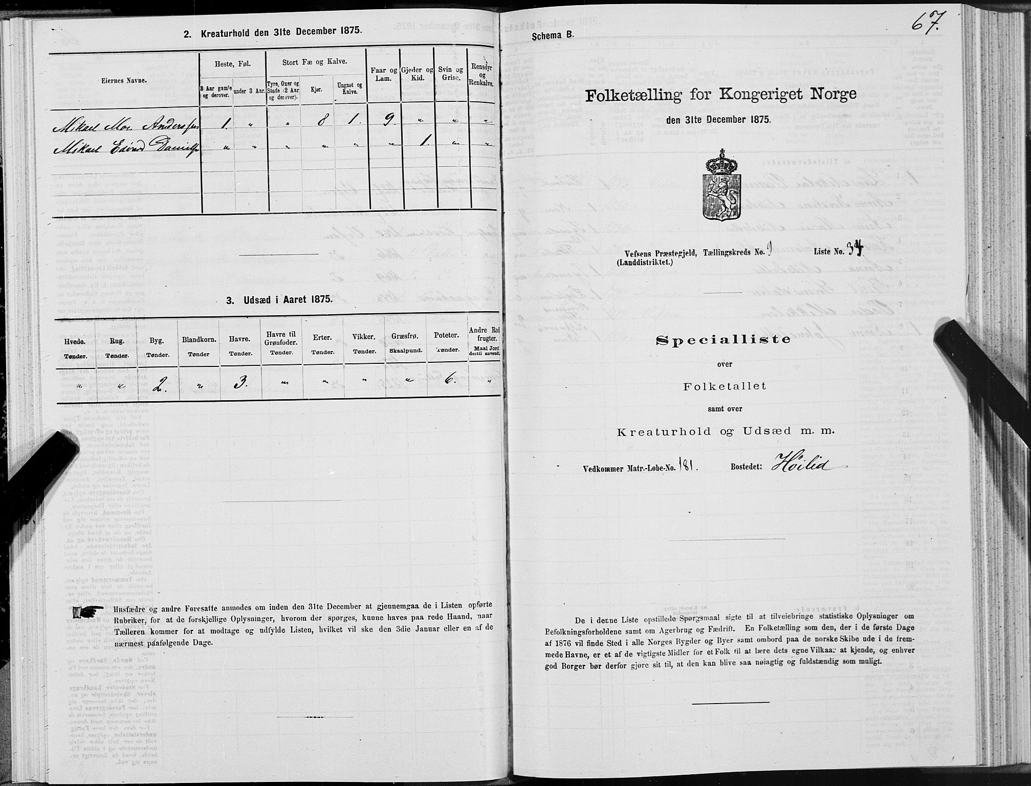 SAT, 1875 census for 1824L Vefsn/Vefsn, 1875, p. 3067