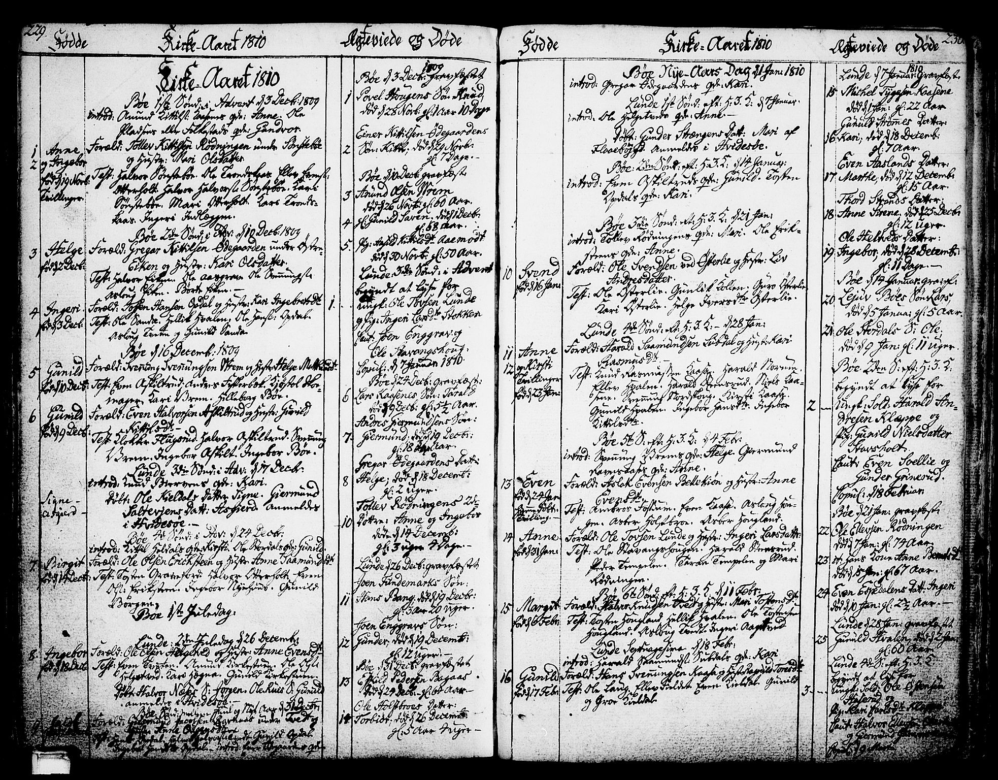 Bø kirkebøker, SAKO/A-257/F/Fa/L0005: Parish register (official) no. 5, 1785-1815, p. 229-230