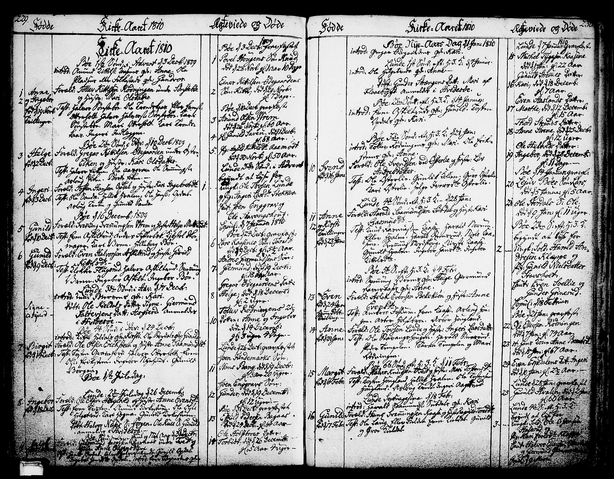 Bø kirkebøker, AV/SAKO-A-257/F/Fa/L0005: Parish register (official) no. 5, 1785-1815, p. 229-230