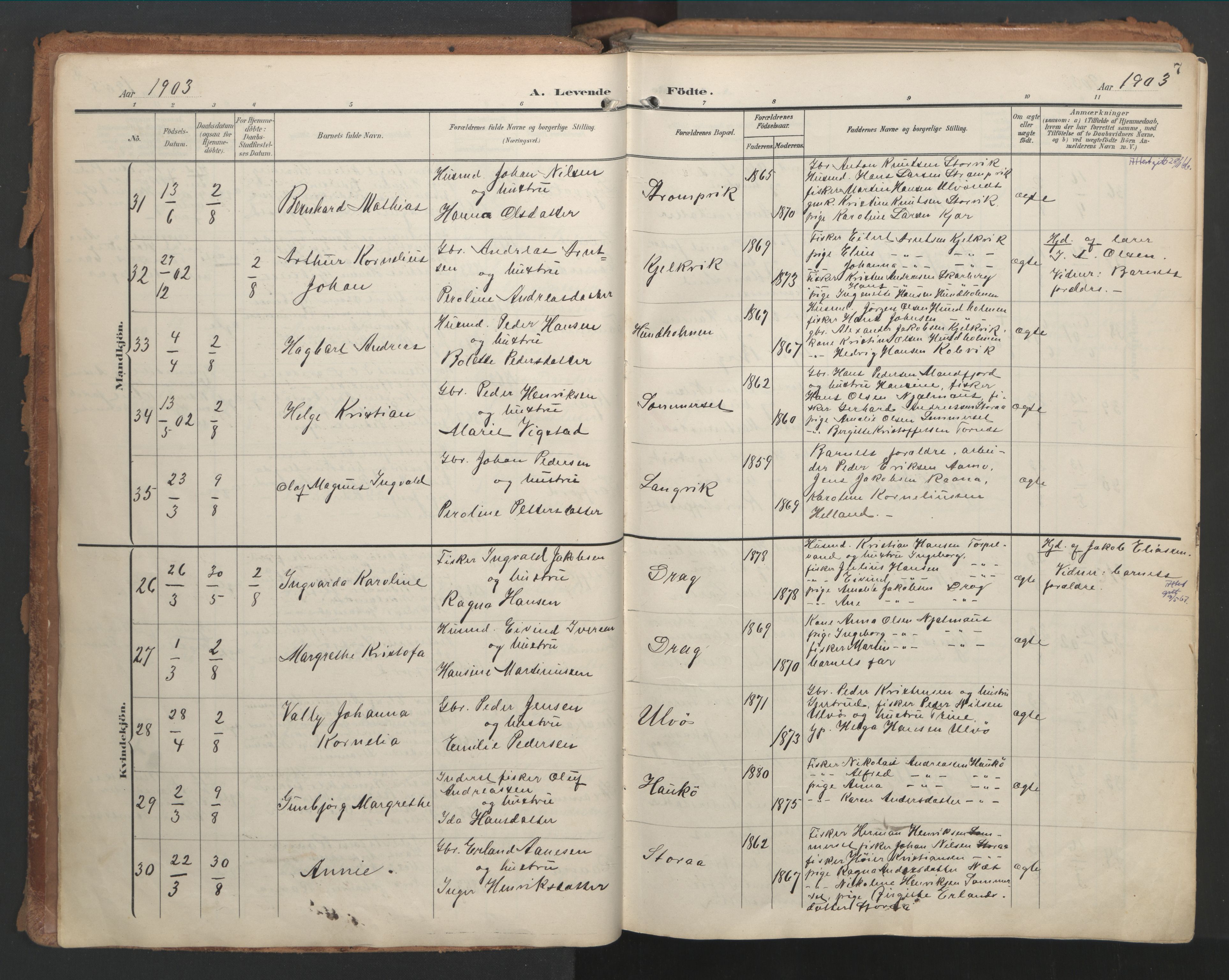 Ministerialprotokoller, klokkerbøker og fødselsregistre - Nordland, AV/SAT-A-1459/861/L0871: Parish register (official) no. 861A06, 1903-1916, p. 7