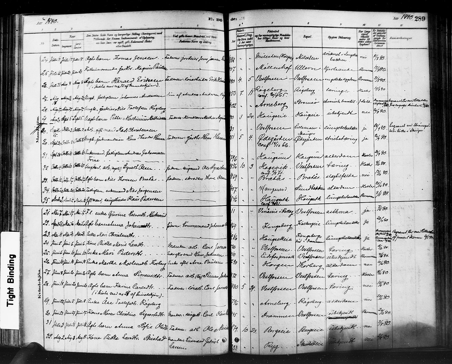 Eiker kirkebøker, AV/SAKO-A-4/F/Fb/L0001: Parish register (official) no. II 1, 1878-1888, p. 289