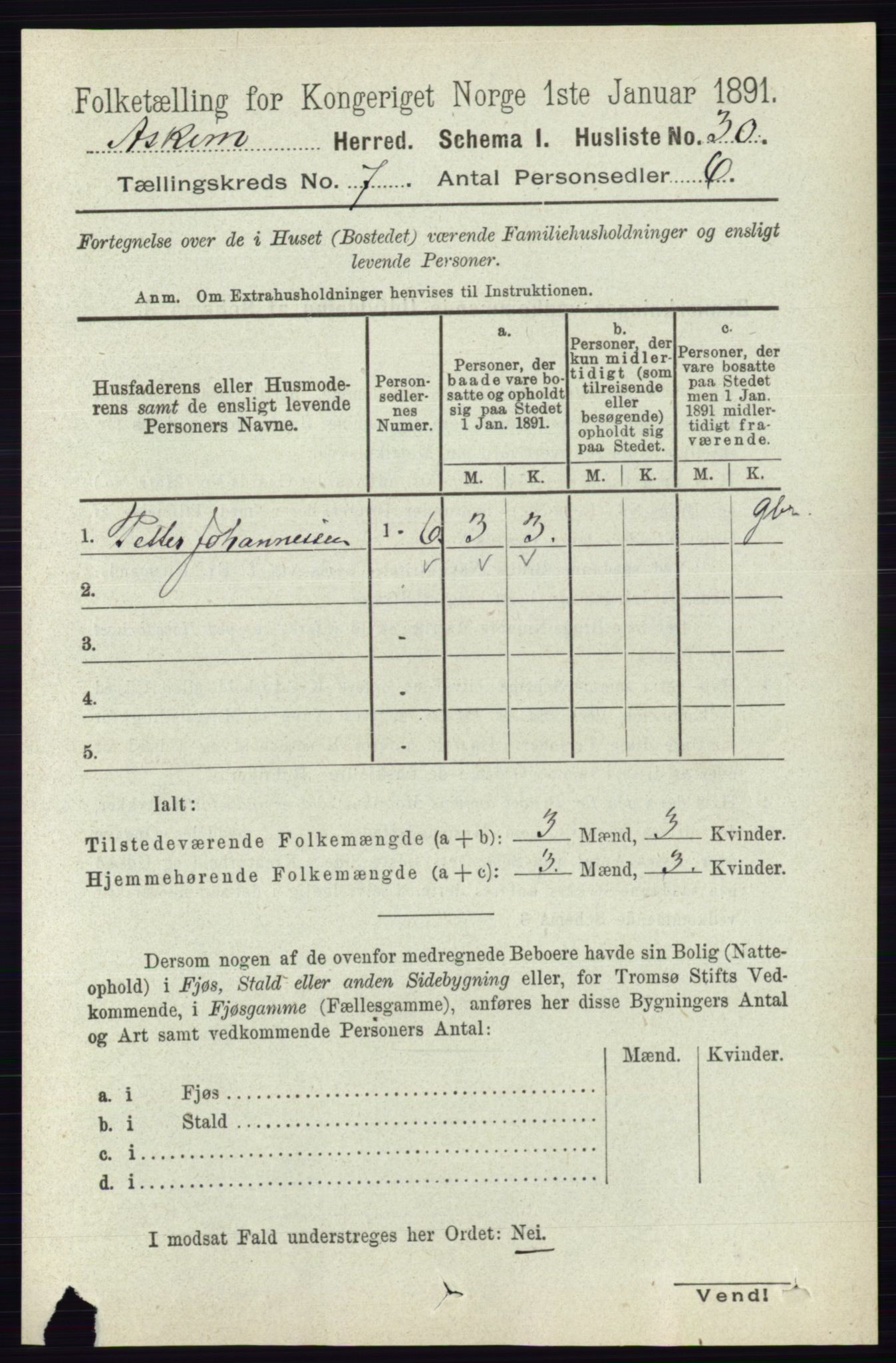 RA, 1891 census for 0124 Askim, 1891, p. 1008