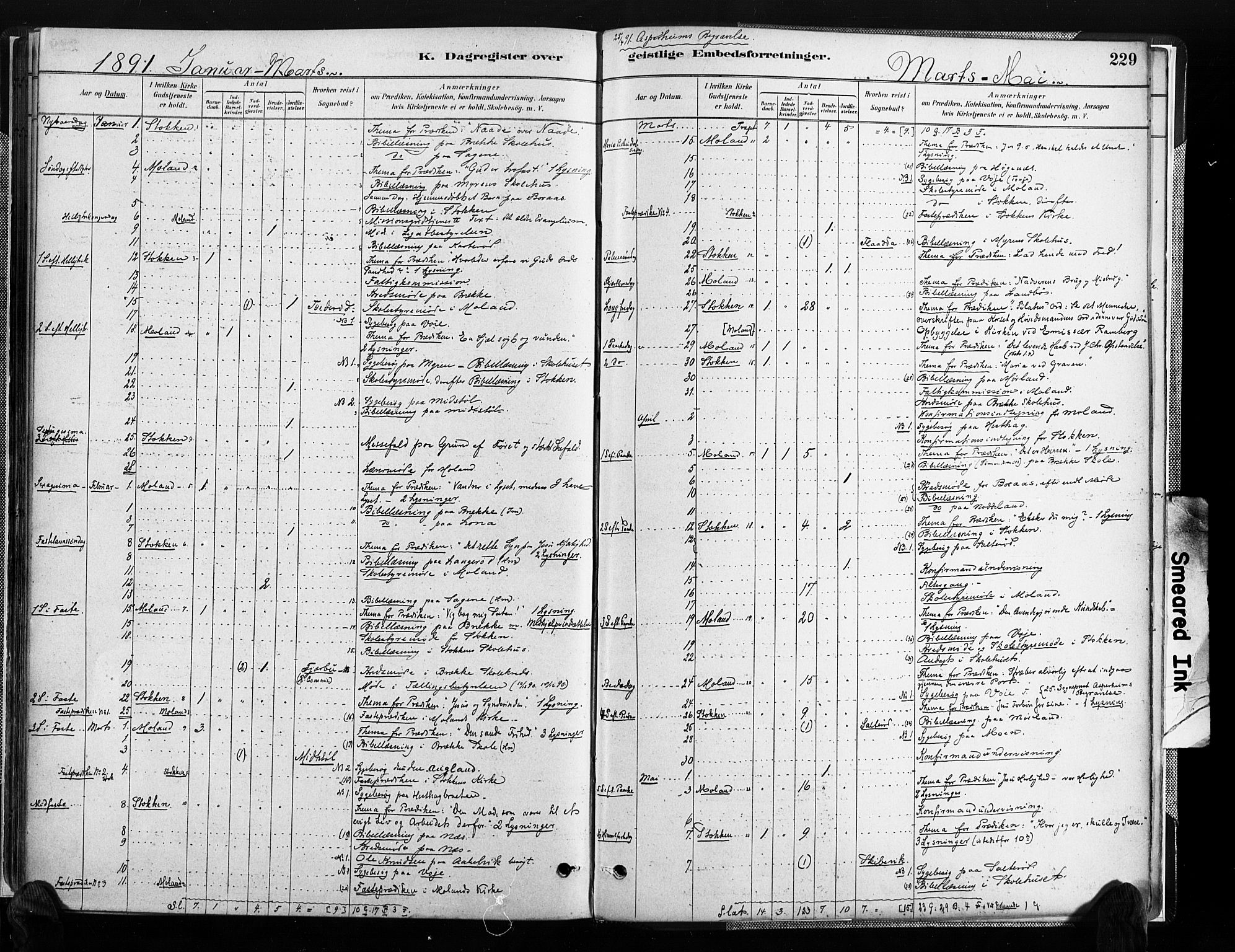 Austre Moland sokneprestkontor, SAK/1111-0001/F/Fa/Faa/L0010: Parish register (official) no. A 10, 1880-1904, p. 229