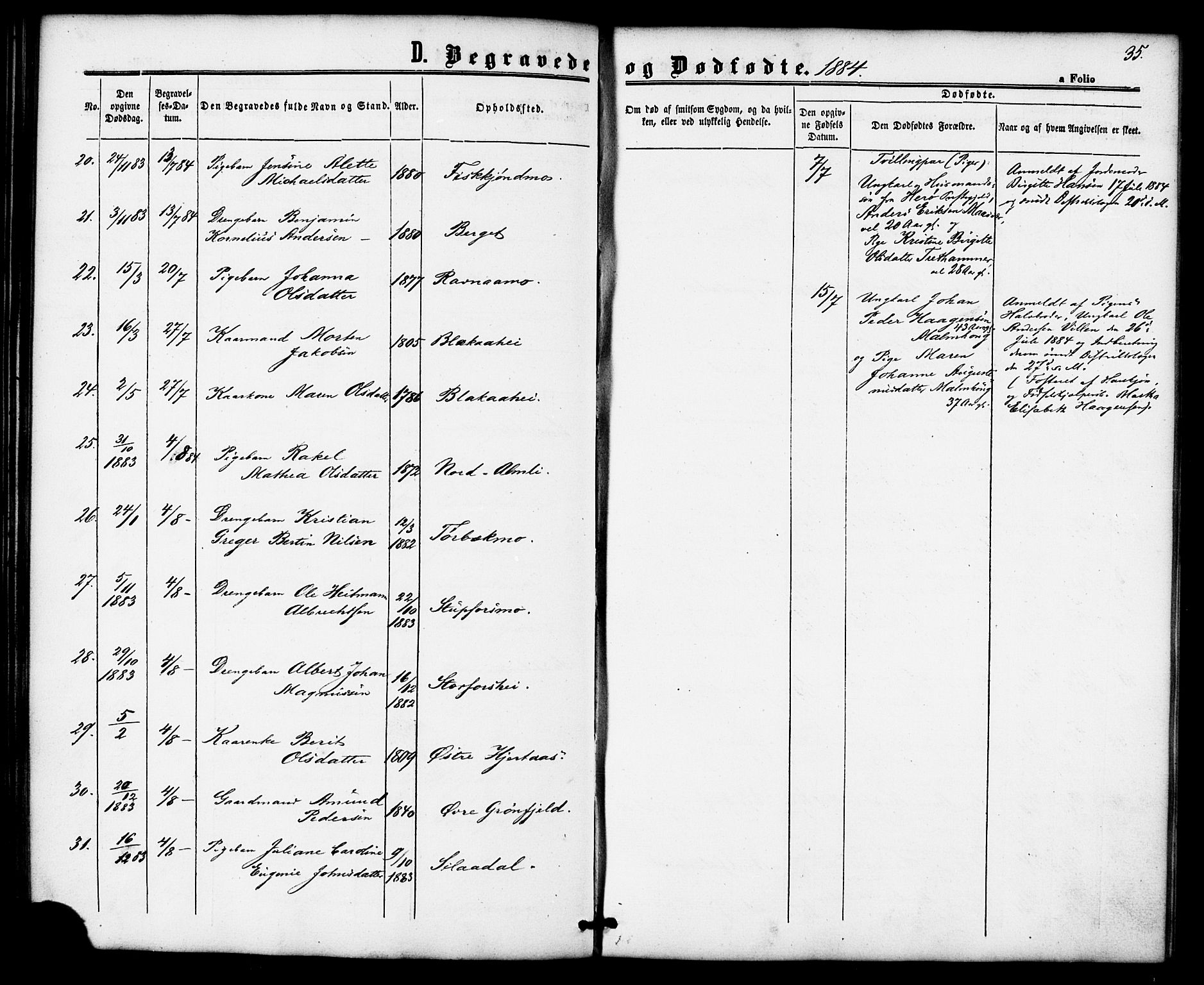 Ministerialprotokoller, klokkerbøker og fødselsregistre - Nordland, AV/SAT-A-1459/827/L0396: Parish register (official) no. 827A08, 1864-1886, p. 35