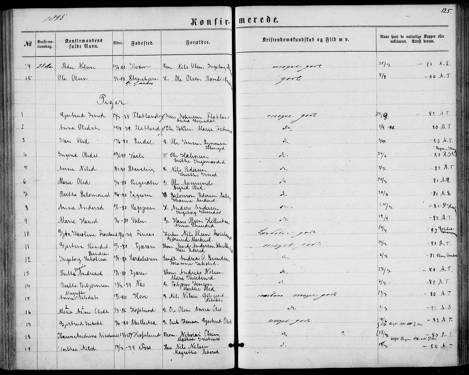 Sogndal sokneprestembete, SAB/A-81301/H/Haa/Haaa/L0015: Parish register (official) no. A 15, 1871-1904, p. 125