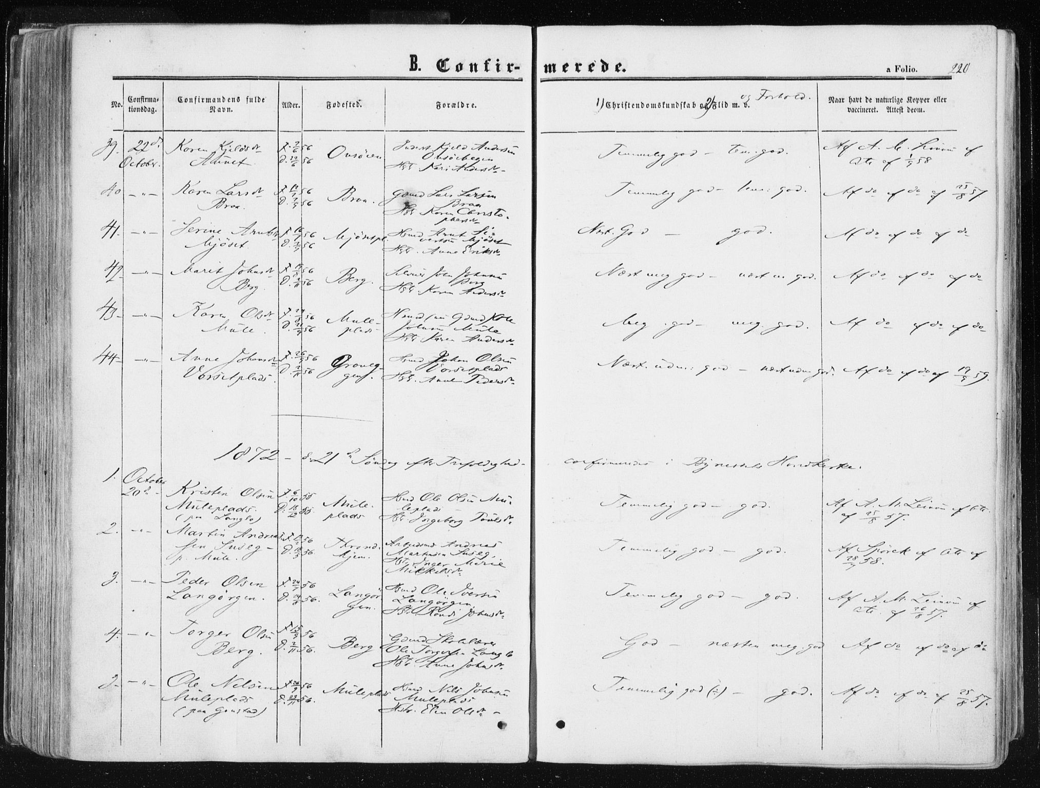 Ministerialprotokoller, klokkerbøker og fødselsregistre - Sør-Trøndelag, SAT/A-1456/612/L0377: Parish register (official) no. 612A09, 1859-1877, p. 220