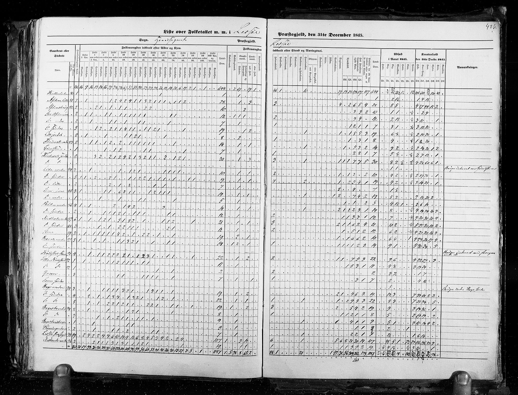 RA, Census 1845, vol. 3: Hedemarken amt og Kristians amt, 1845, p. 426