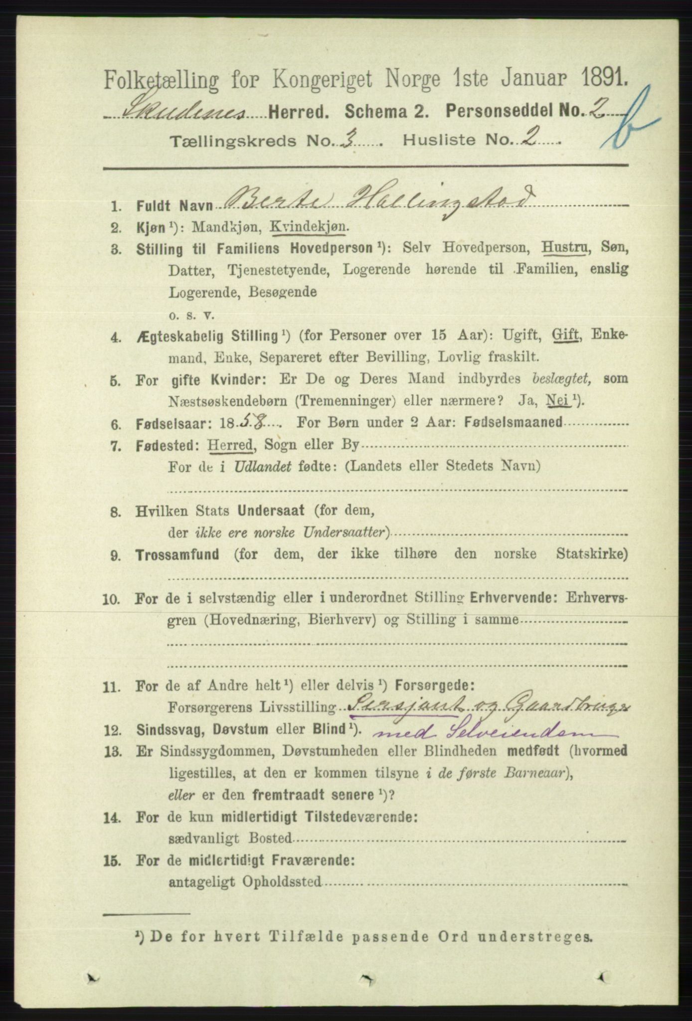 RA, 1891 census for 1150 Skudenes, 1891, p. 4003