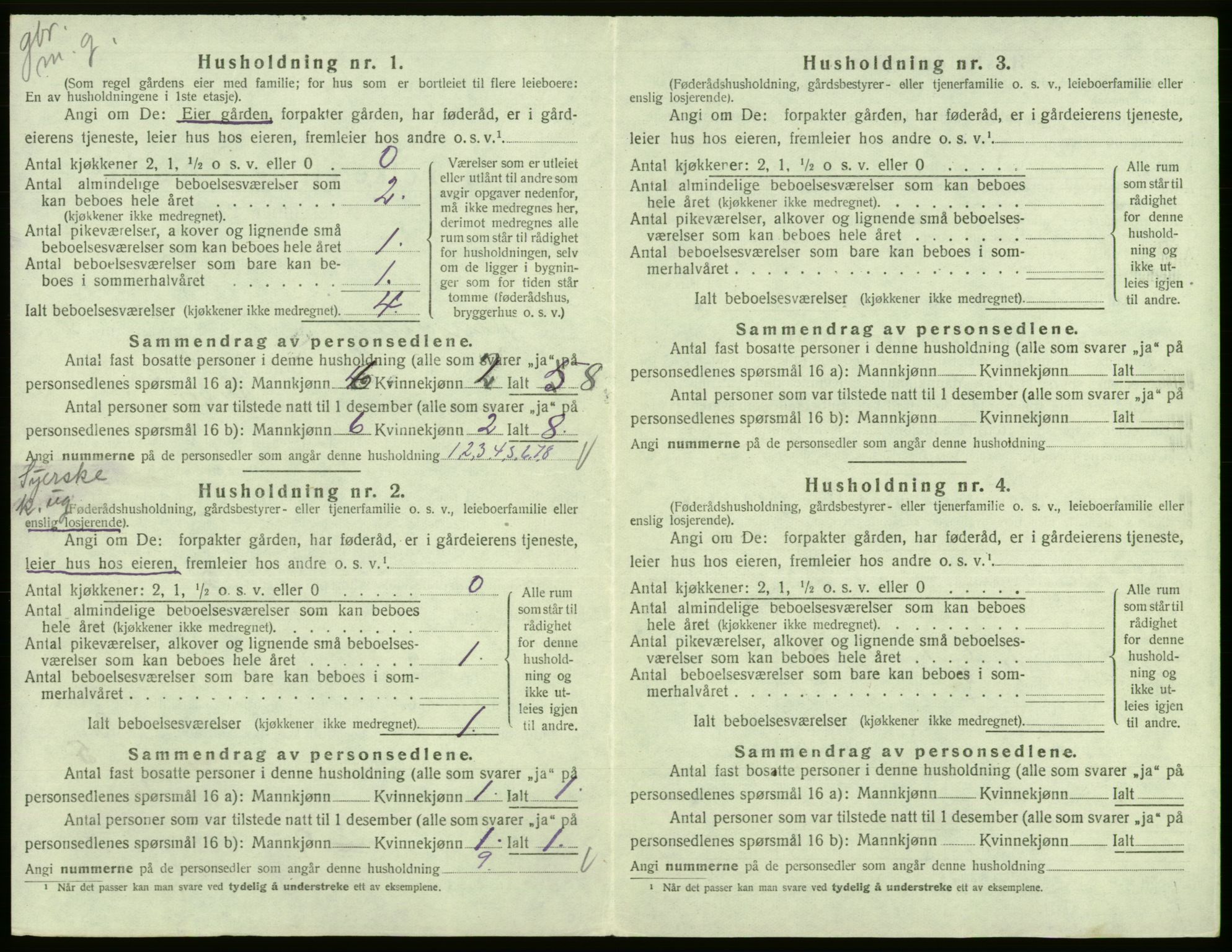 SAB, 1920 census for Kinsarvik, 1920, p. 411