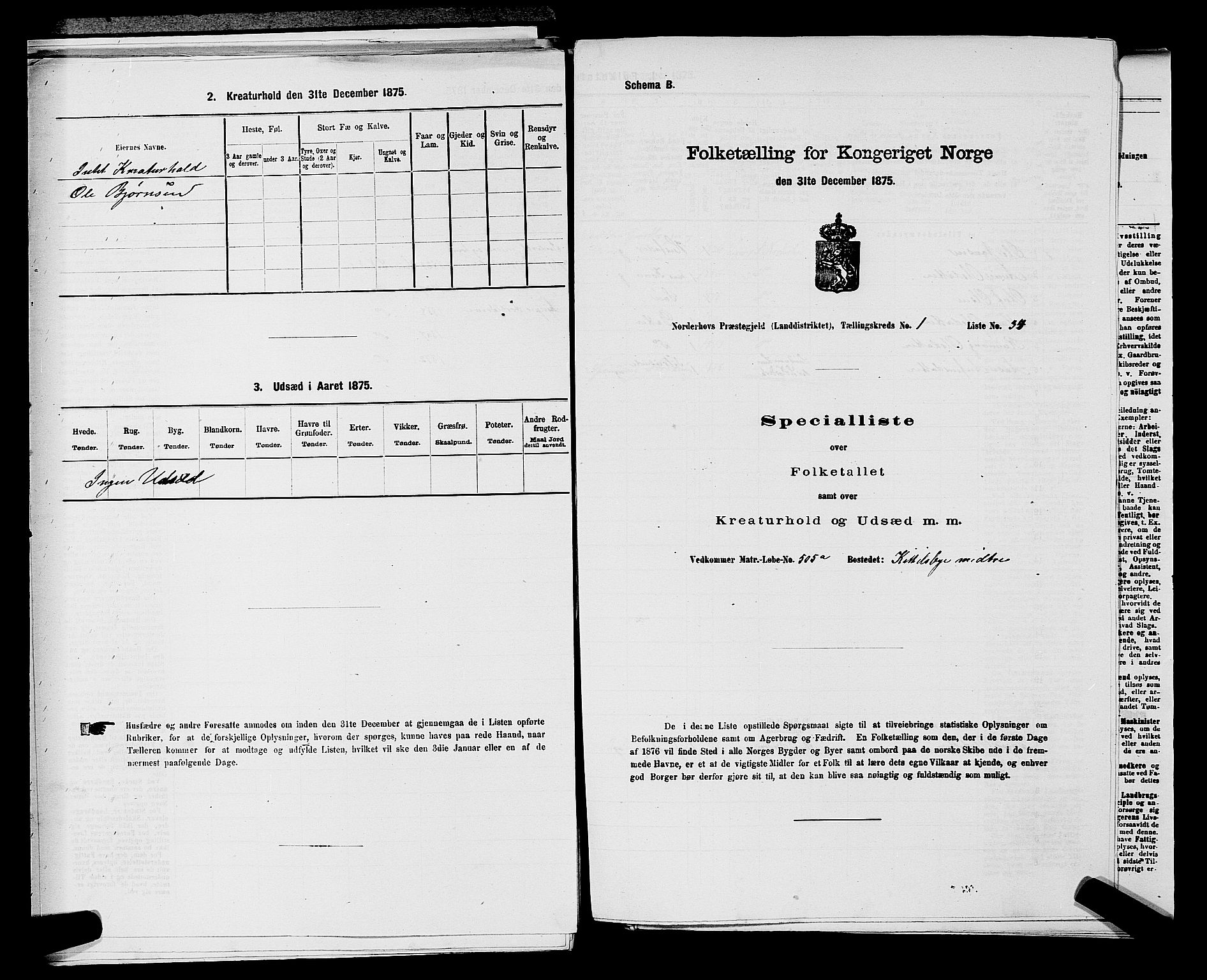 SAKO, 1875 census for 0613L Norderhov/Norderhov, Haug og Lunder, 1875, p. 2375