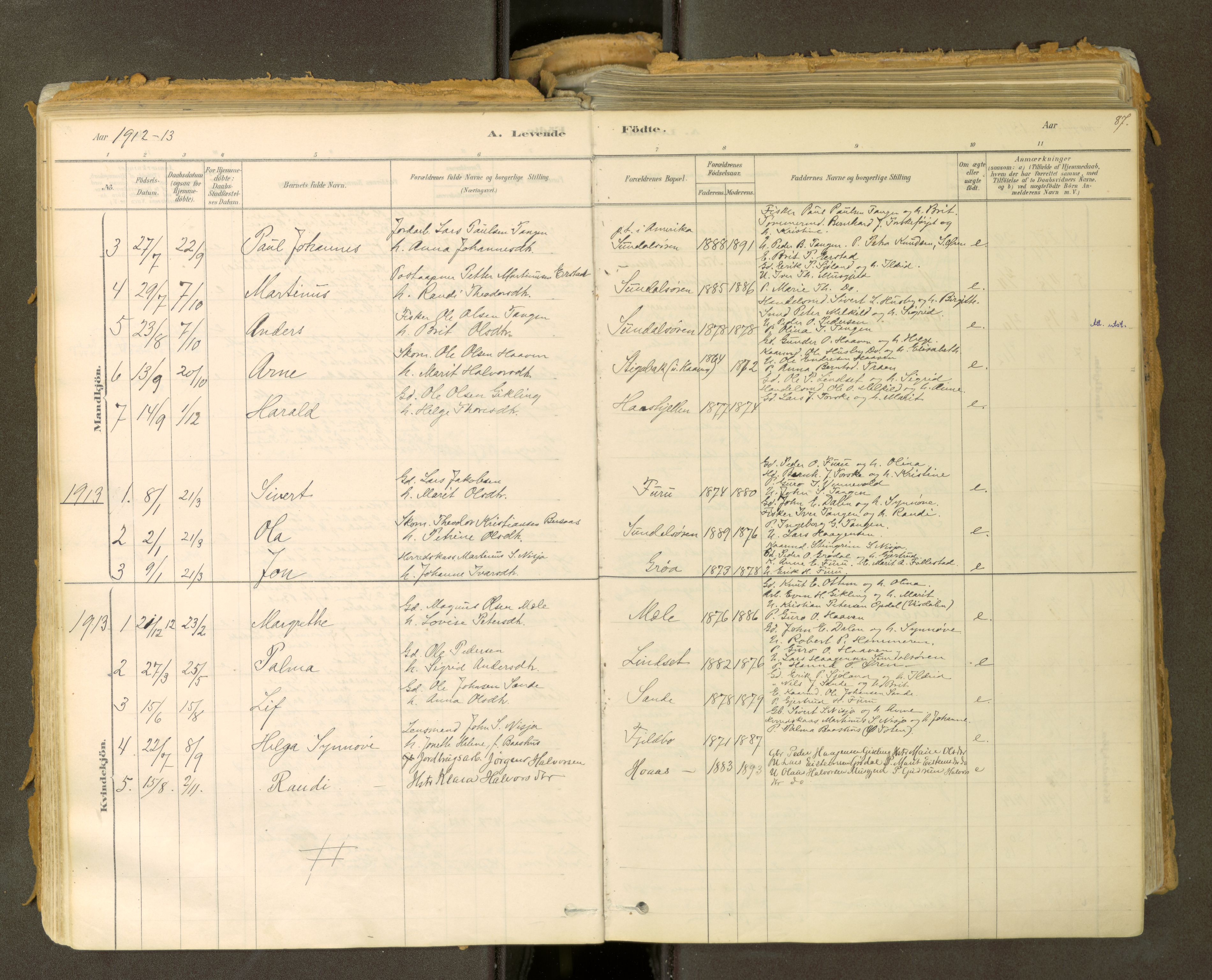 Sunndal sokneprestkontor, AV/SAT-A-1085/1/I/I1/I1a: Parish register (official) no. 2, 1877-1914, p. 87