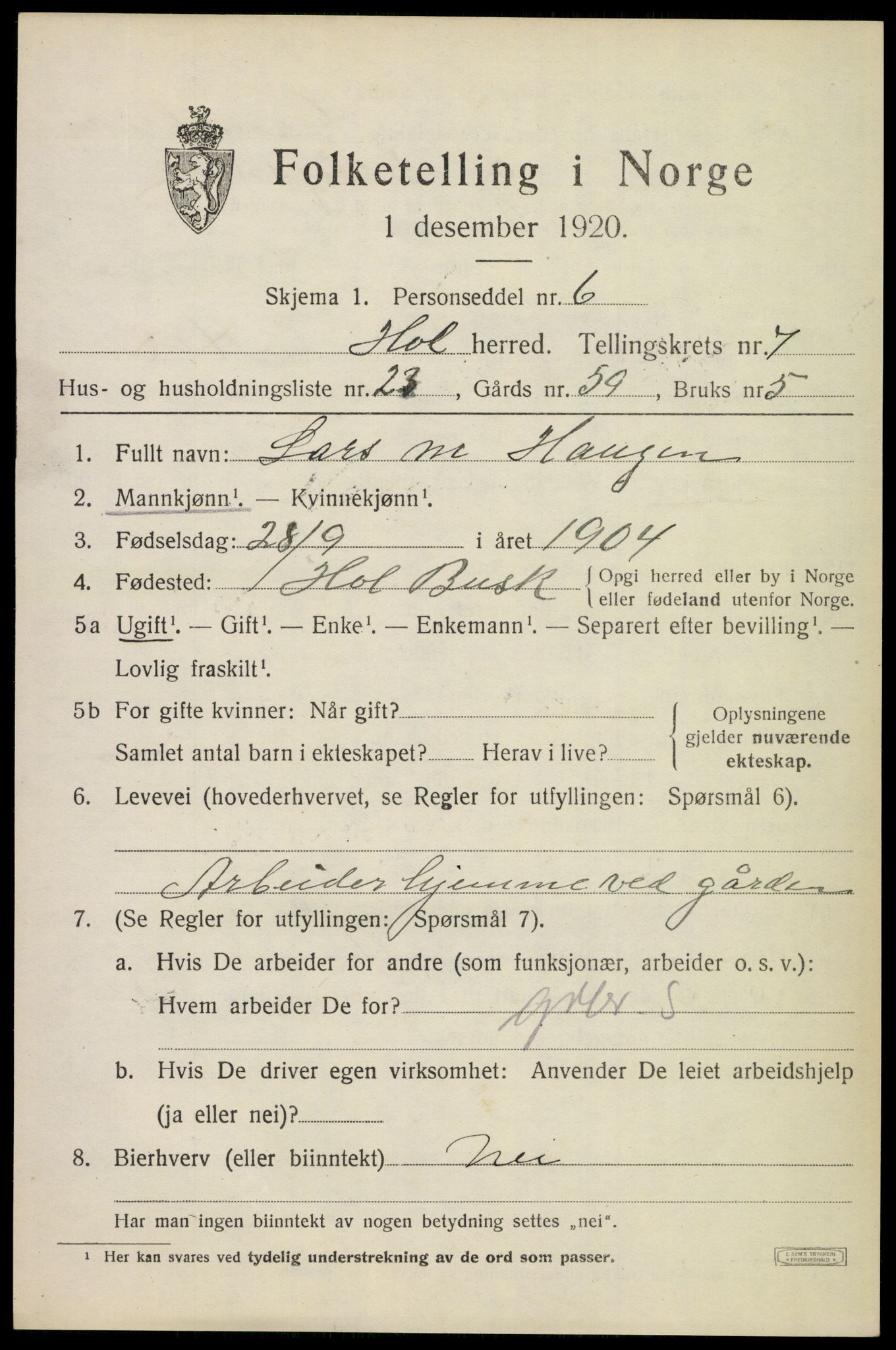 SAKO, 1920 census for Hol (Buskerud), 1920, p. 3797