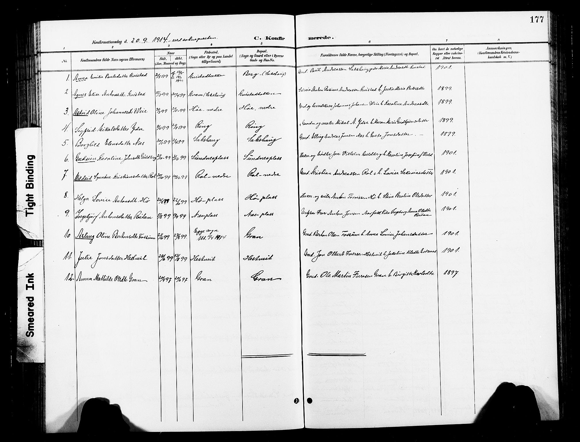 Ministerialprotokoller, klokkerbøker og fødselsregistre - Nord-Trøndelag, SAT/A-1458/730/L0302: Parish register (copy) no. 730C05, 1898-1924, p. 177
