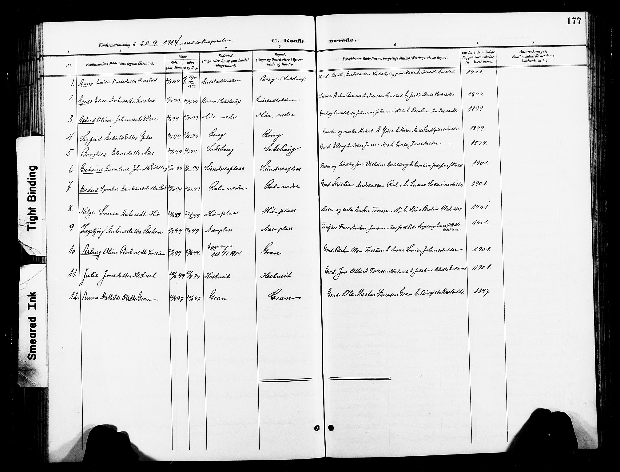 Ministerialprotokoller, klokkerbøker og fødselsregistre - Nord-Trøndelag, AV/SAT-A-1458/730/L0302: Parish register (copy) no. 730C05, 1898-1924, p. 177