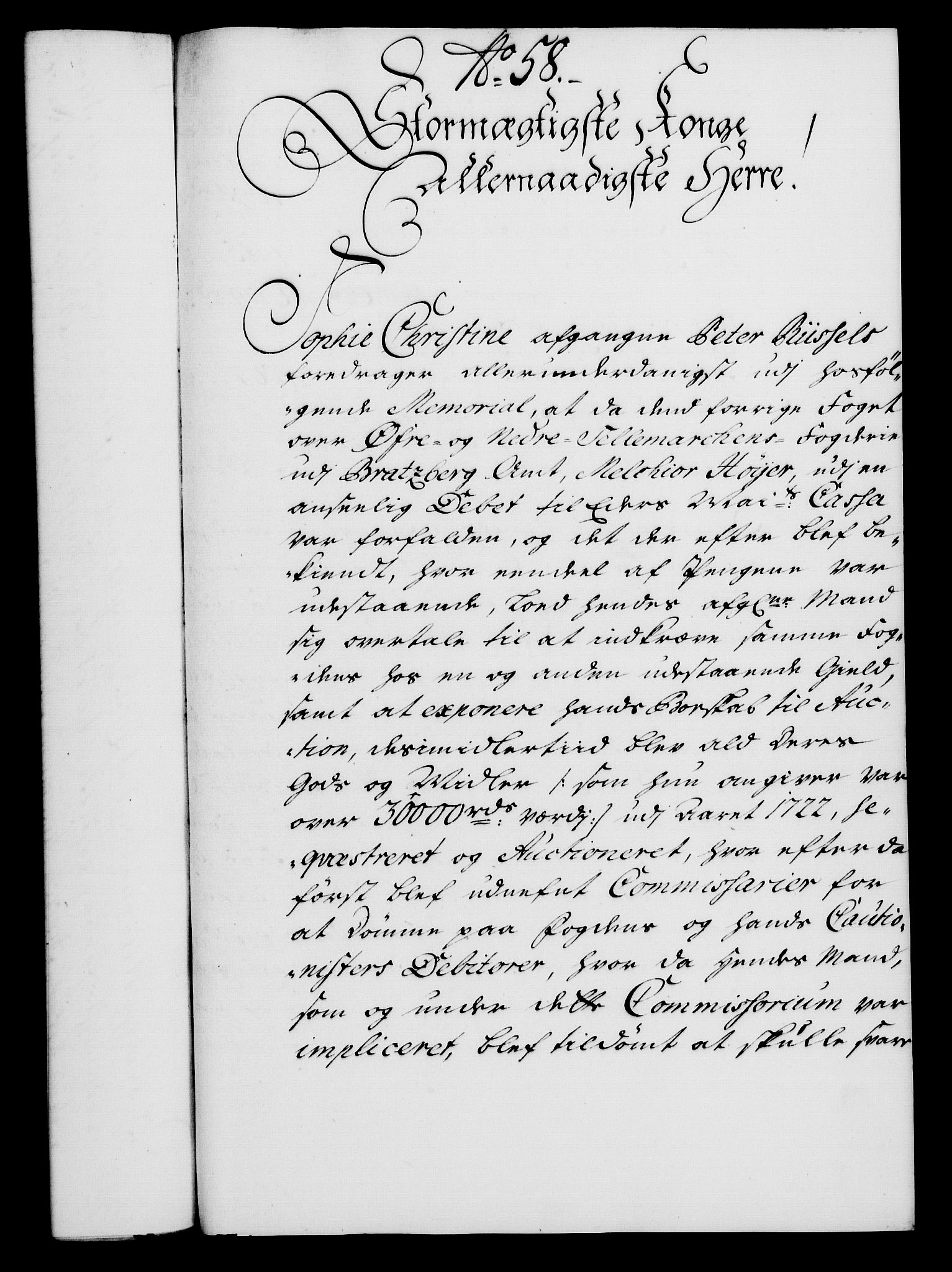 Rentekammeret, Kammerkanselliet, RA/EA-3111/G/Gf/Gfa/L0021: Norsk relasjons- og resolusjonsprotokoll (merket RK 52.21), 1738, p. 317