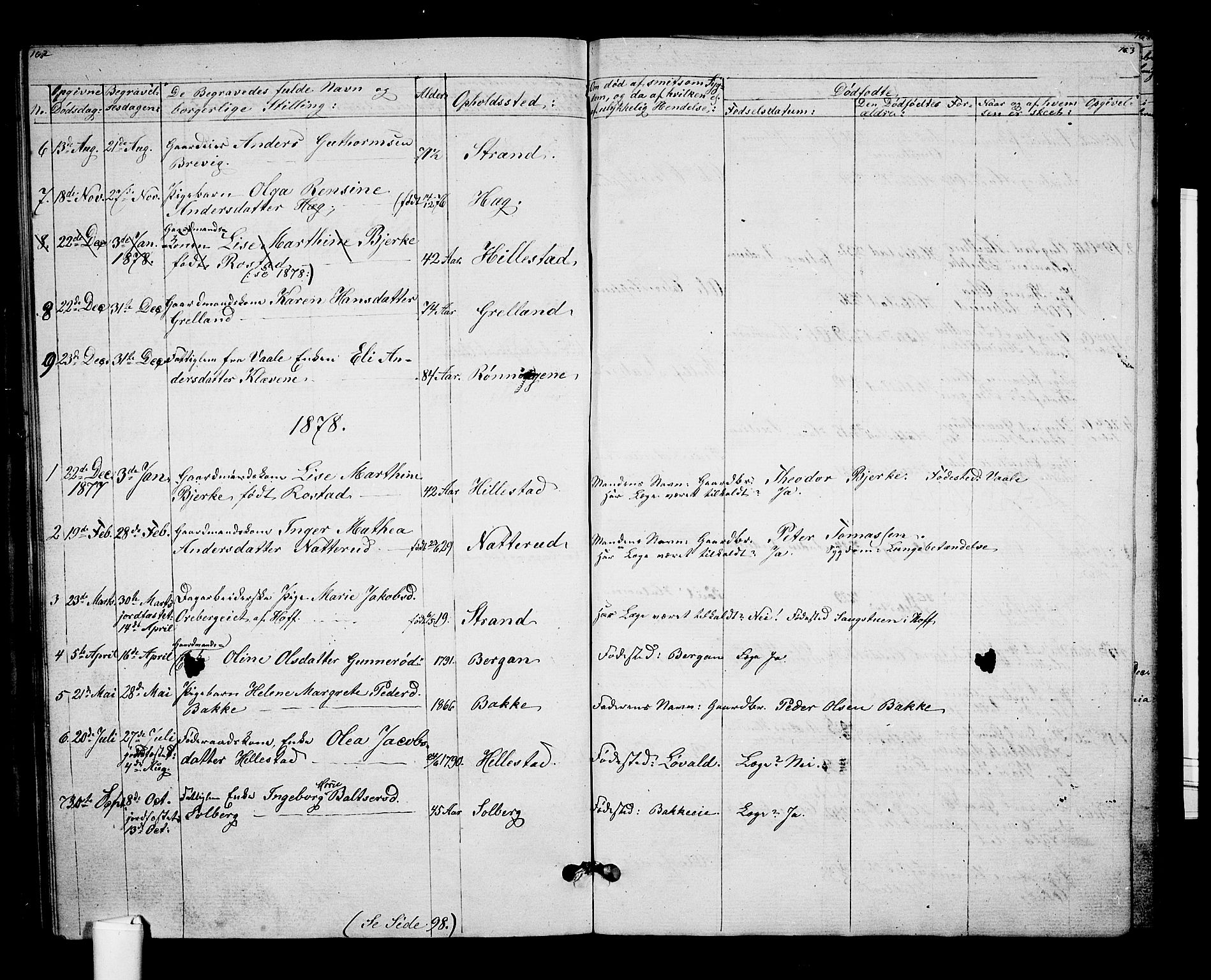 Botne kirkebøker, AV/SAKO-A-340/G/Gb/L0002: Parish register (copy) no. II 2, 1861-1886, p. 162-163