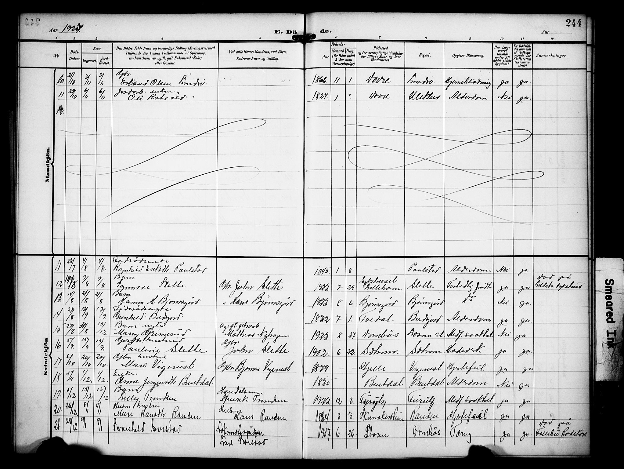 Dovre prestekontor, AV/SAH-PREST-066/H/Ha/Hab/L0003: Parish register (copy) no. 3, 1907-1929, p. 244