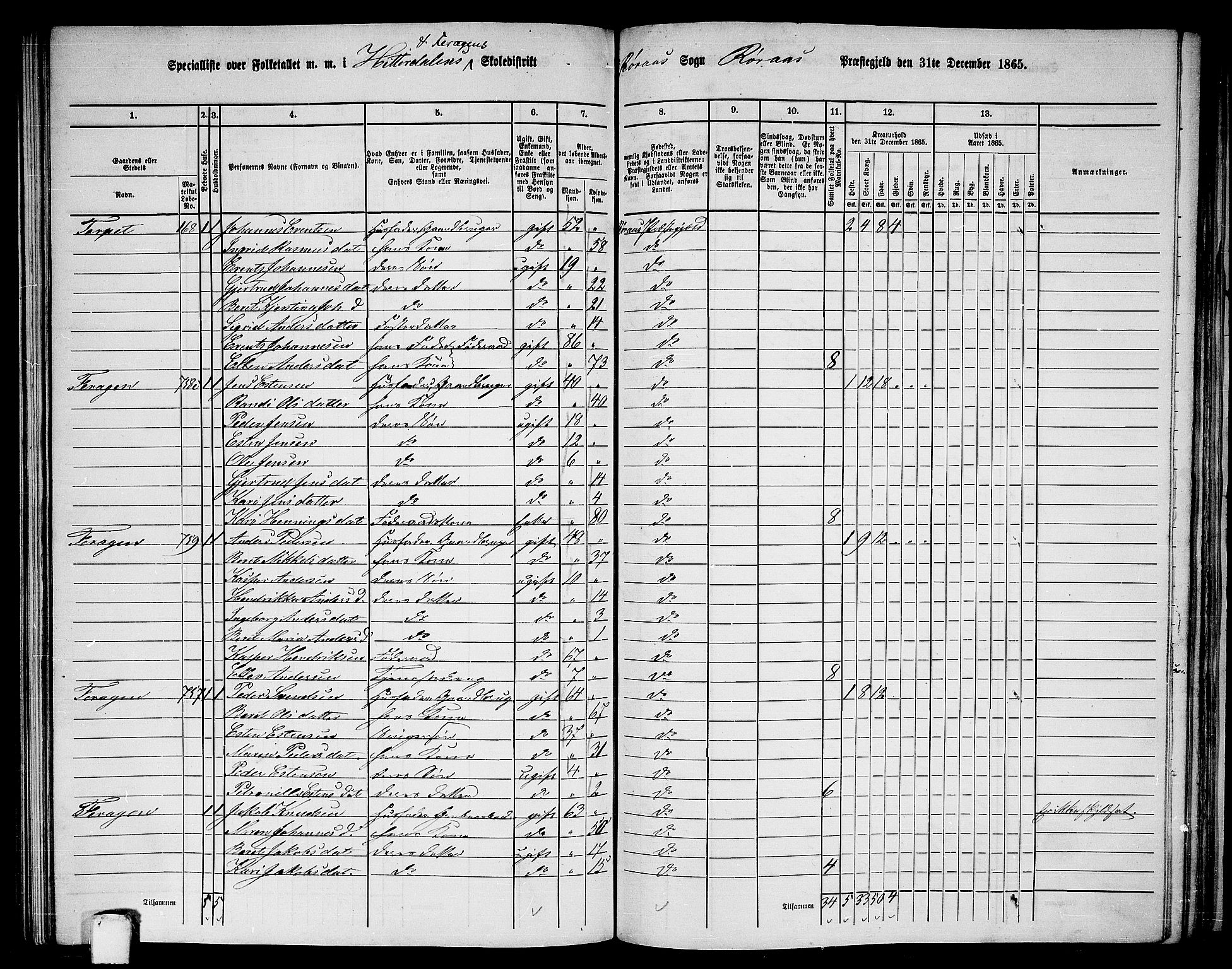 RA, 1865 census for Røros, 1865, p. 110