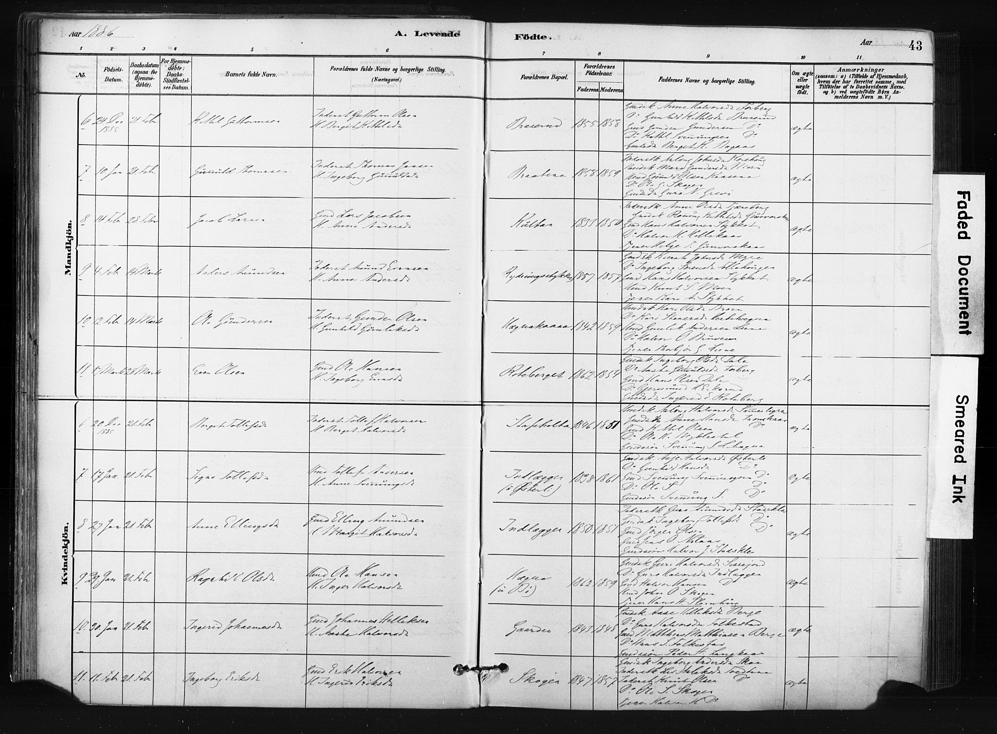 Bø kirkebøker, SAKO/A-257/F/Fa/L0010: Parish register (official) no. 10, 1880-1892, p. 43